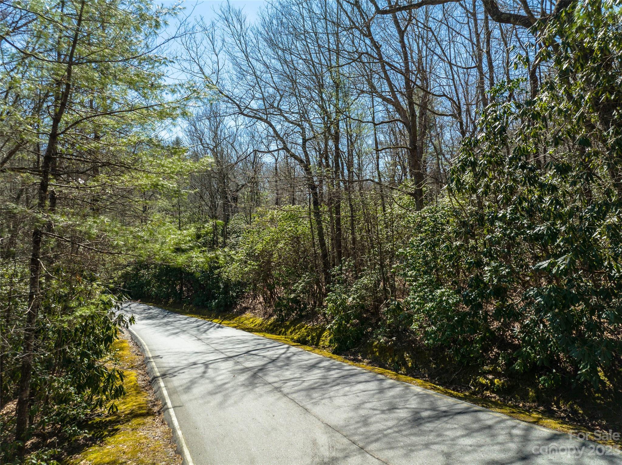 Lot at I-12 Seminole Way, Lake Toxaway, photo 4 of 13