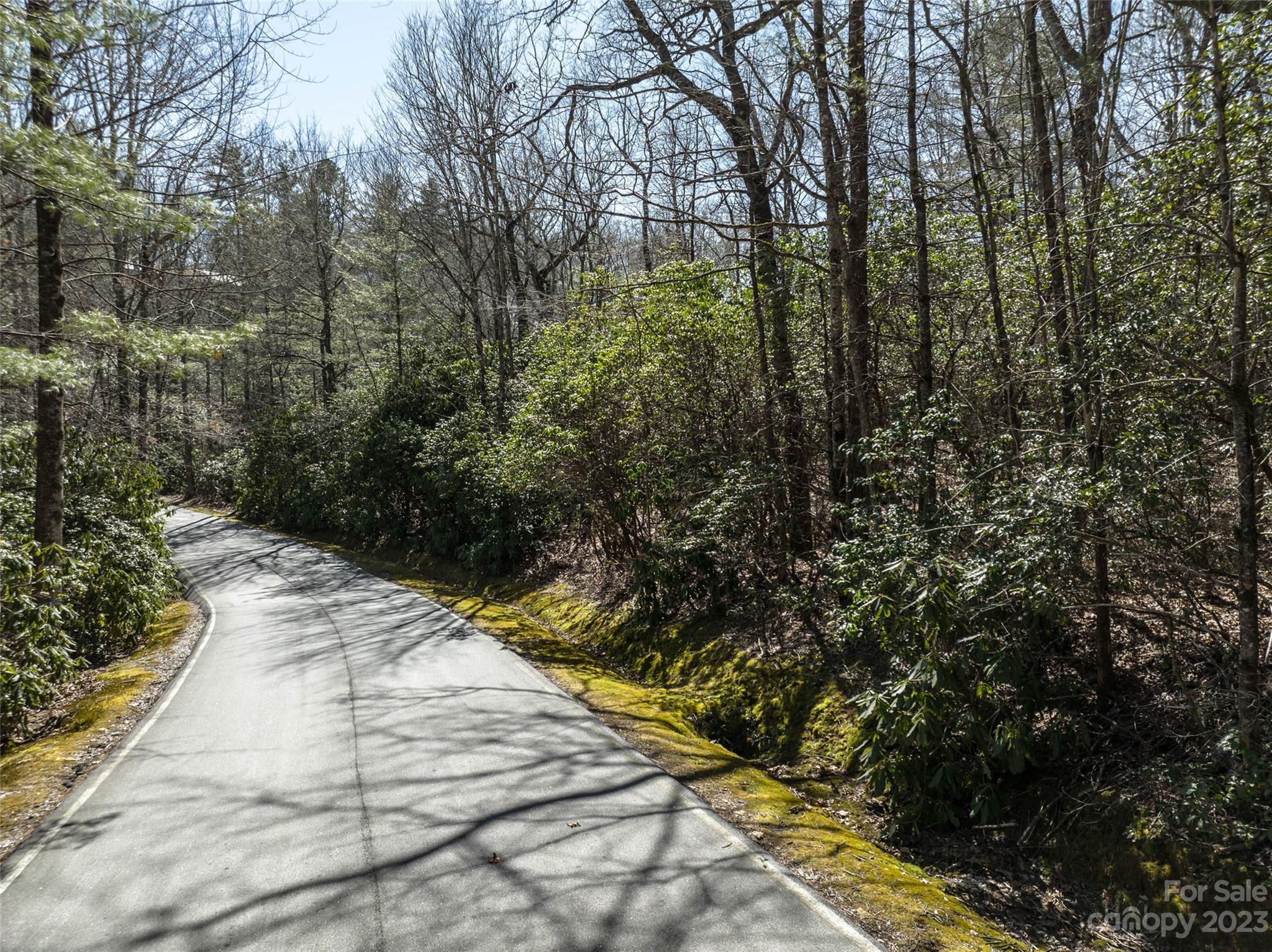 Lot at I-12 Seminole Way, Lake Toxaway, photo 5 of 13