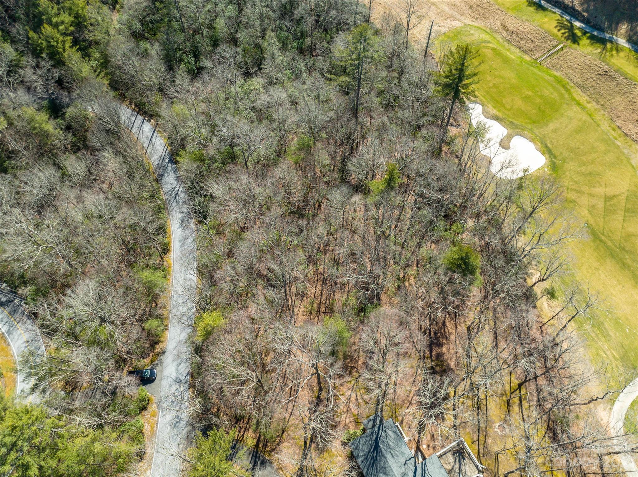 Lot at I-12 Seminole Way, Lake Toxaway, photo 6 of 13