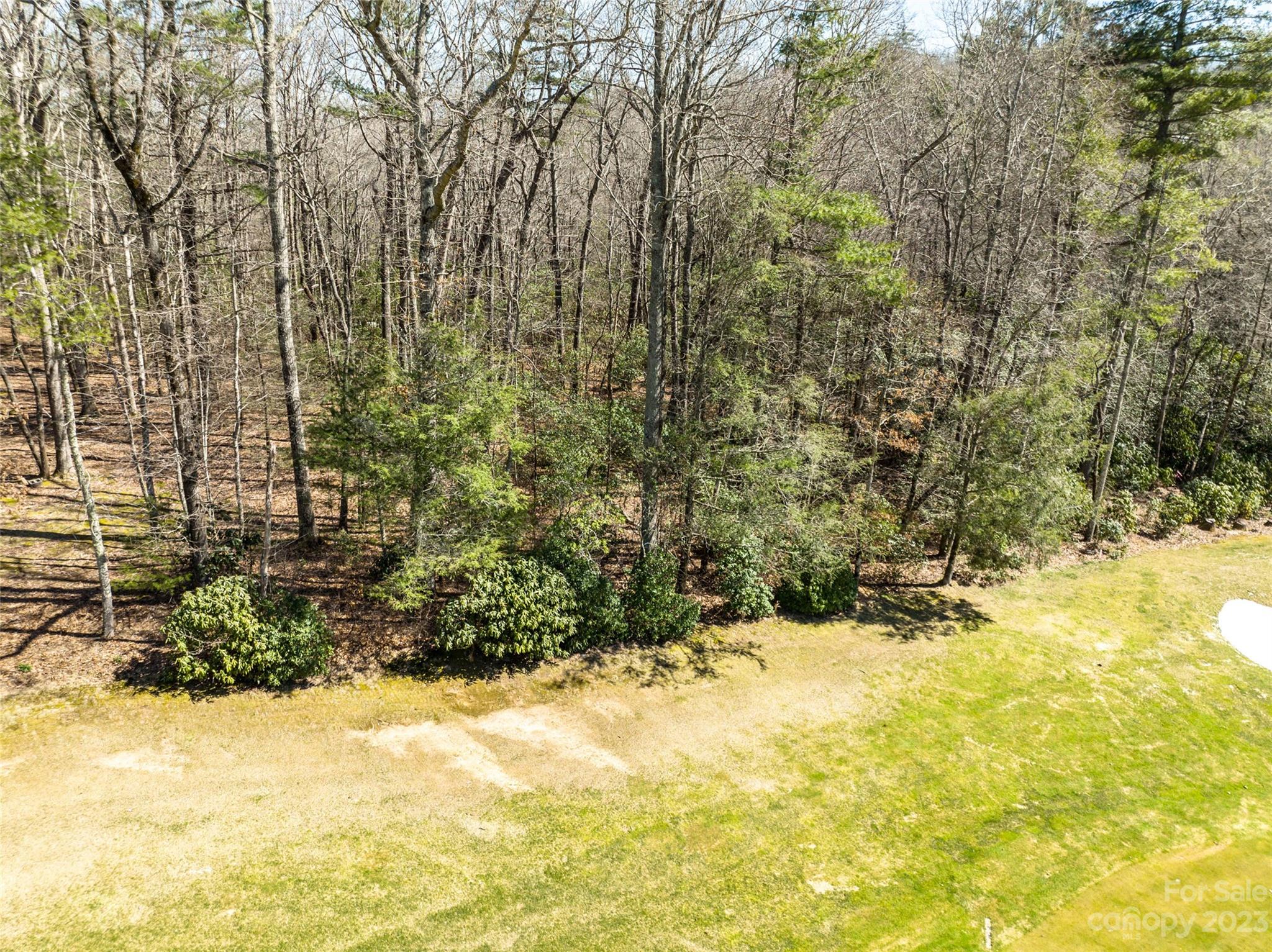 Lot at I-12 Seminole Way, Lake Toxaway, photo 7 of 13