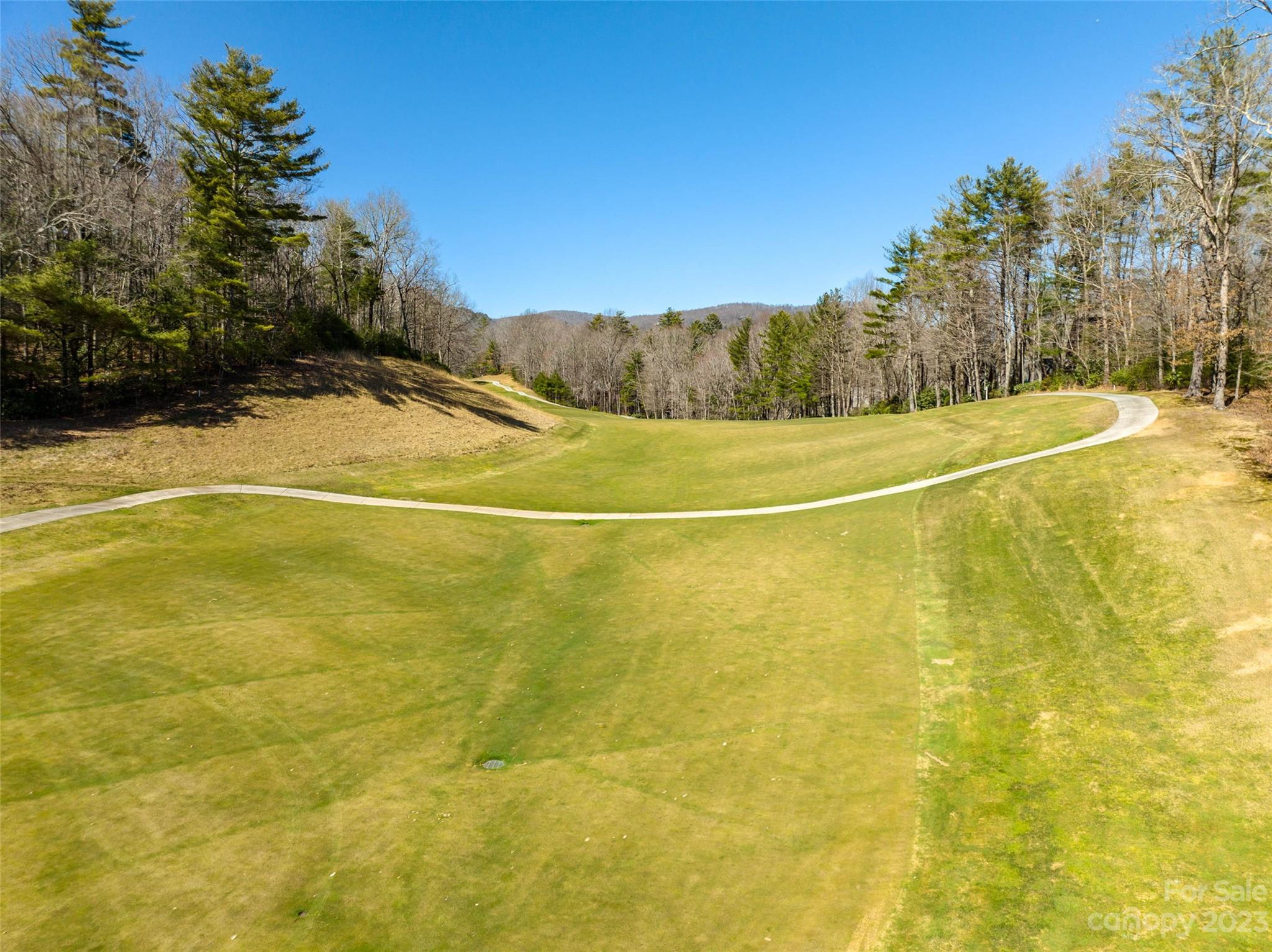 Lot at I-12 Seminole Way, Lake Toxaway, photo 9 of 13