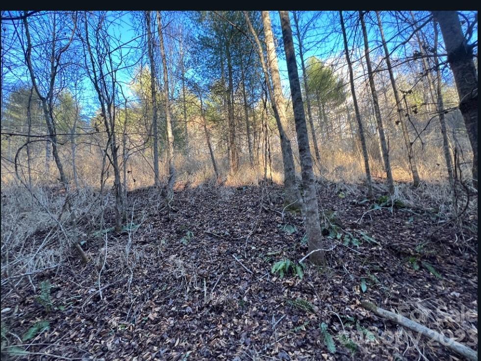 Acreage at 000 Grapevine Road, Marshall, photo 2 of 2