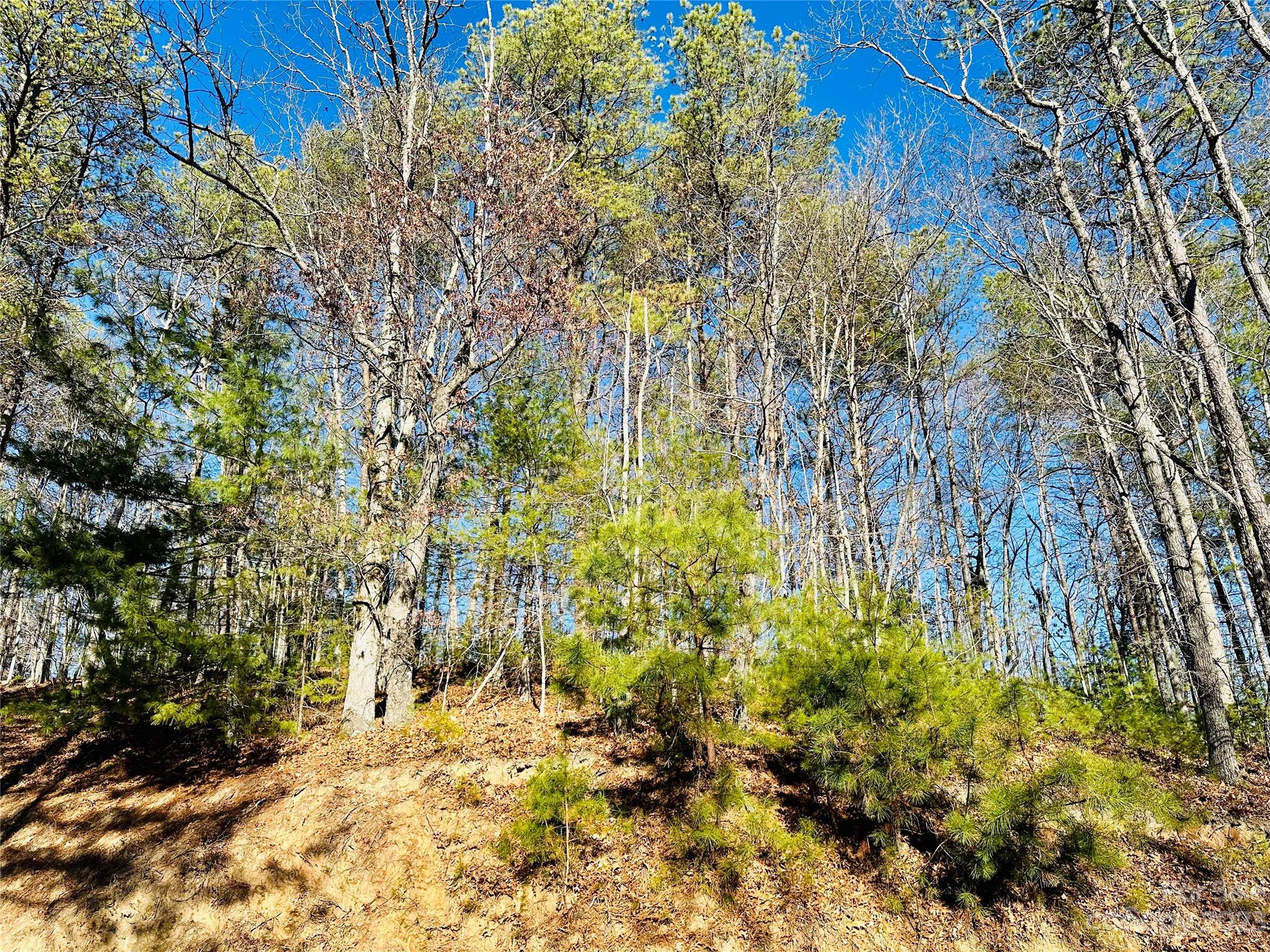 Lot at 71 Turkey Trot Trail, Marshall, photo 2 of 30