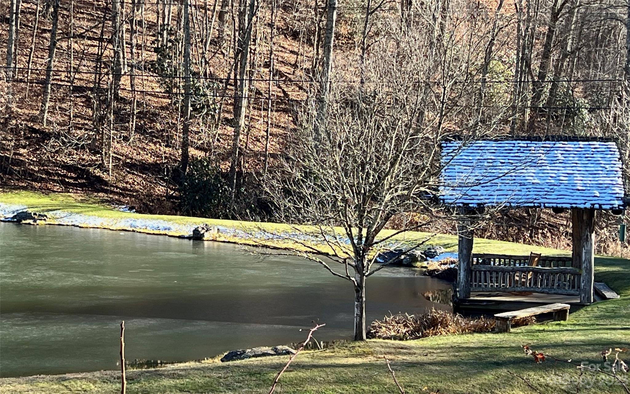 Pond at Entrance - 000 Weaver Lane, Mars Hill