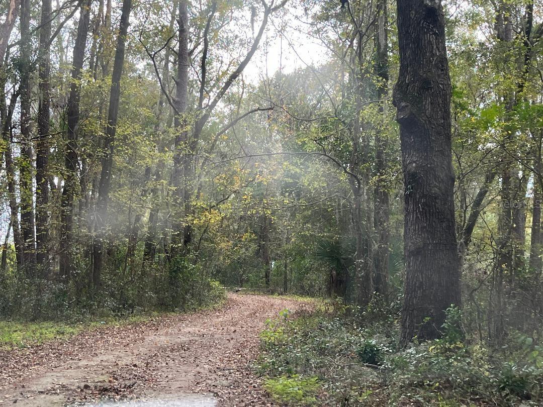 Land at 1602A SW WILLISTON RD, GAINESVILLE, photo 2 of 3