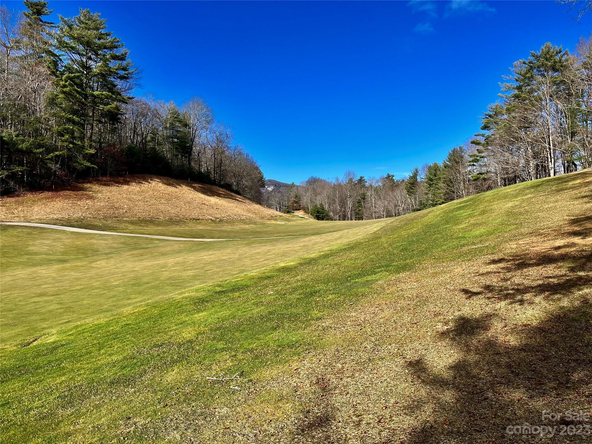 Lot at I-12 Seminole Way, Lake Toxaway, photo 12 of 13