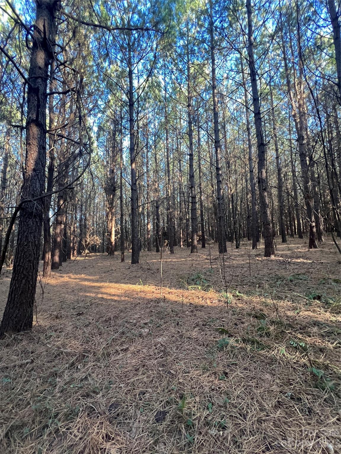Acreage at 678 Turnersburg Highway, Statesville, photo 32 of 36