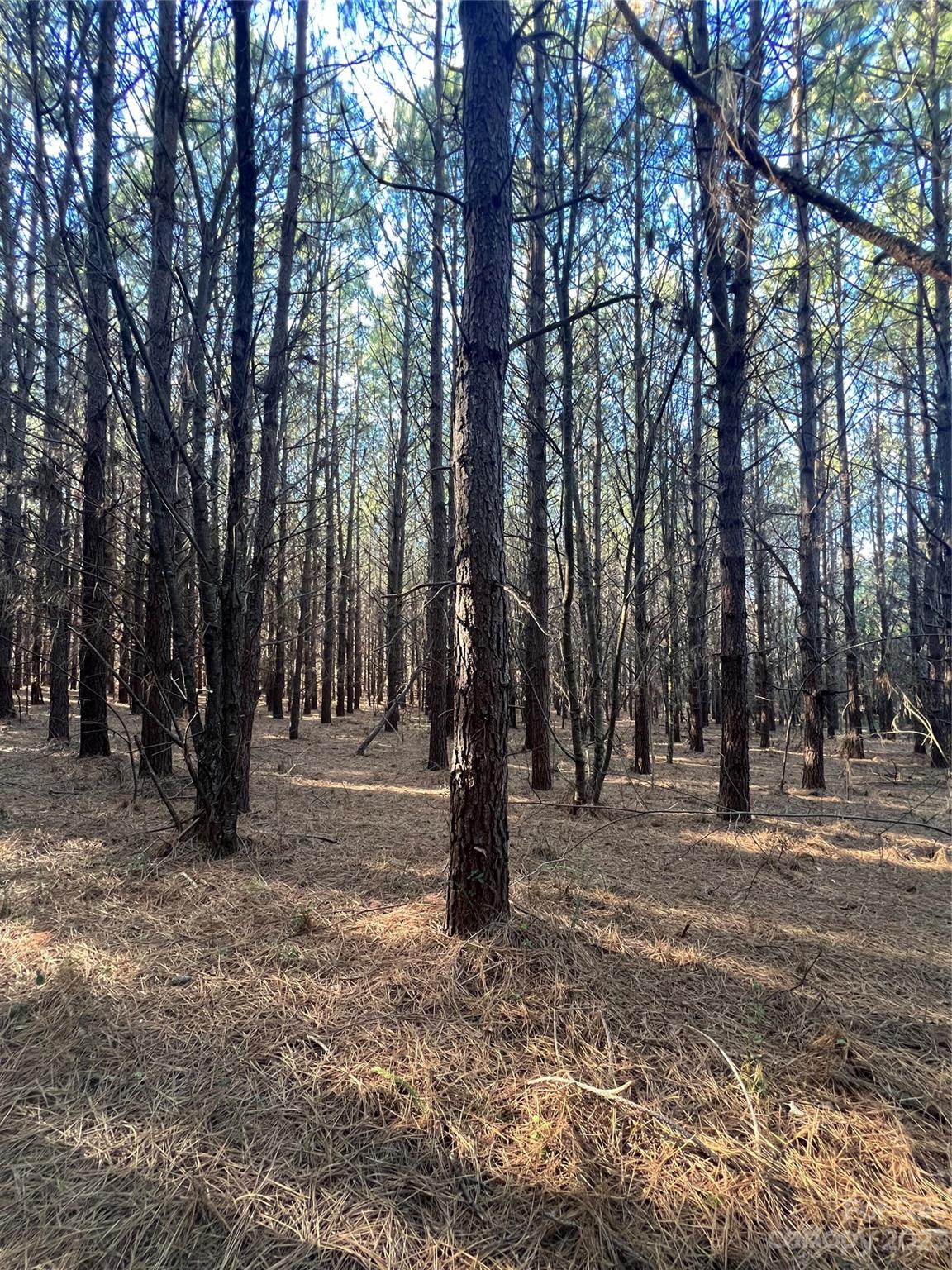 Acreage at 678 Turnersburg Highway, Statesville, photo 33 of 36