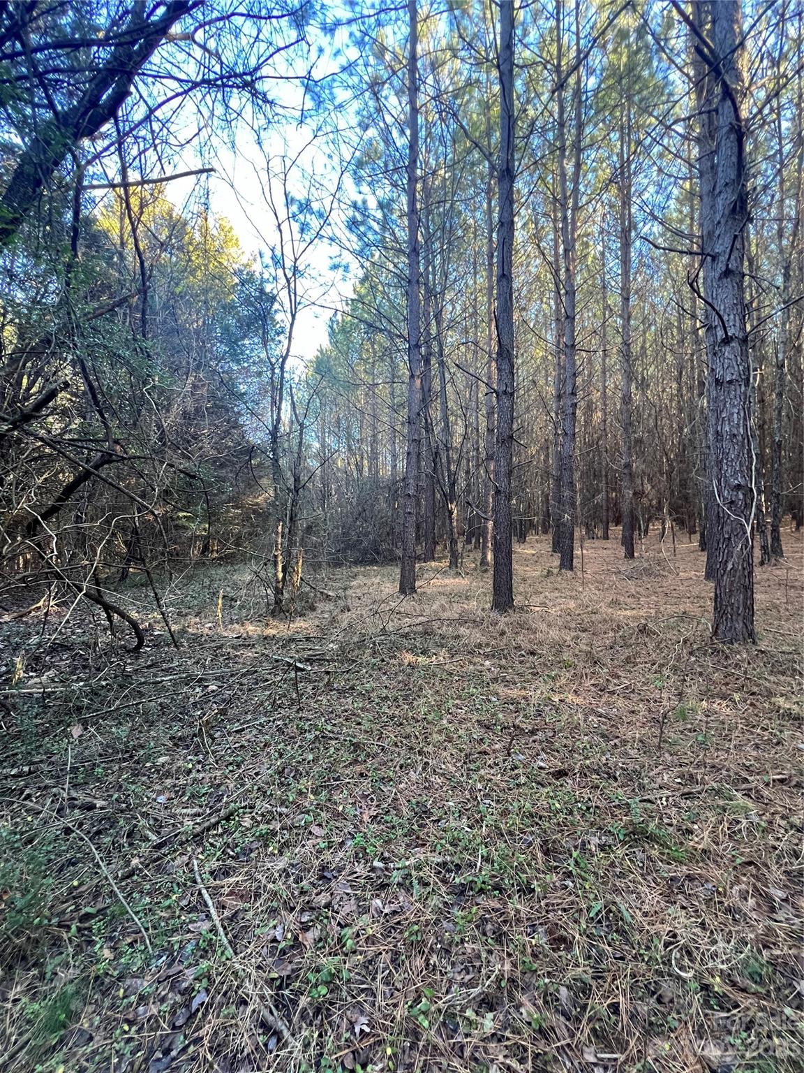 Acreage at 678 Turnersburg Highway, Statesville, photo 35 of 36