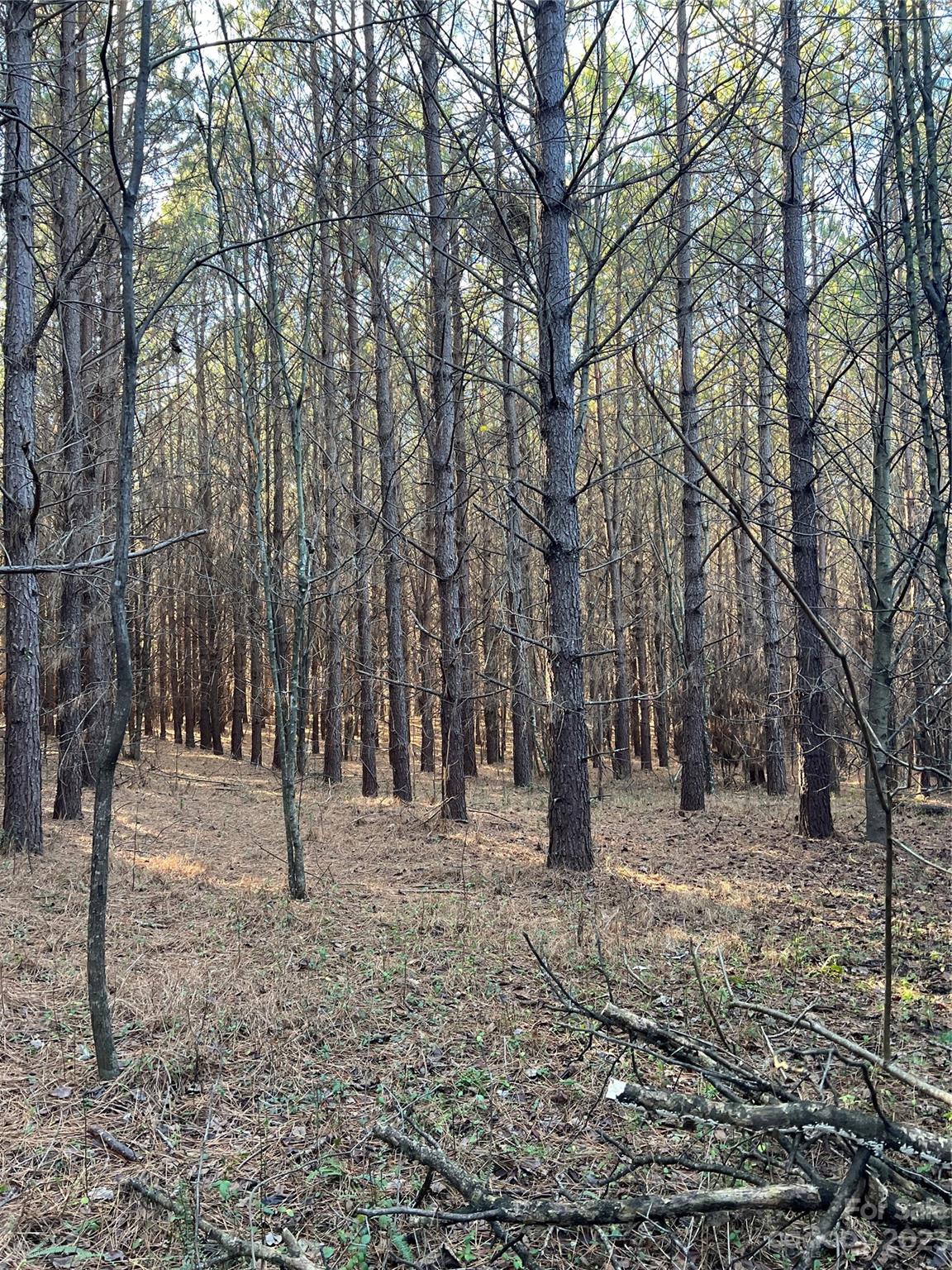 Acreage at 678 Turnersburg Highway, Statesville, photo 36 of 36