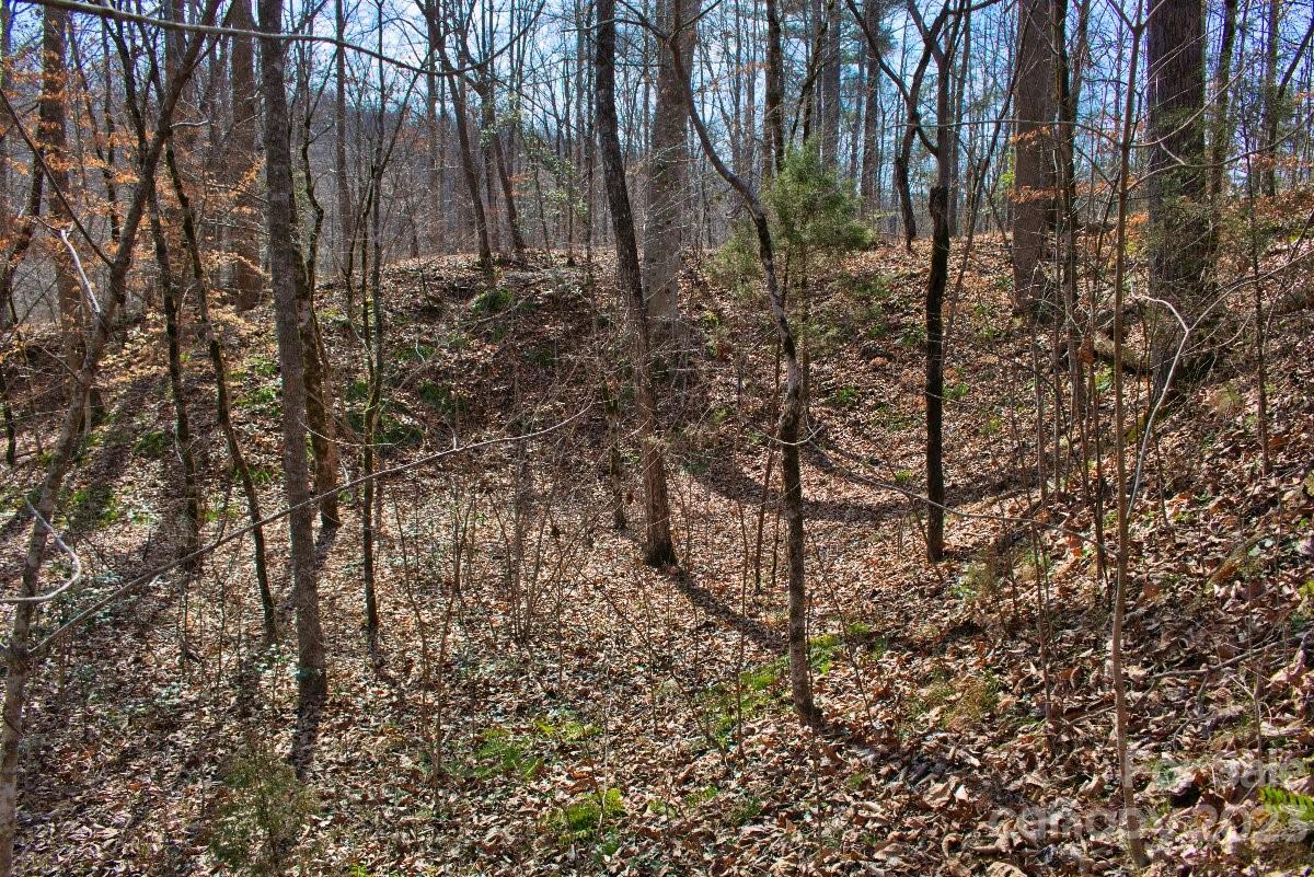 Lot at 0 Woodstock Lane, Rutherfordton, photo 4 of 5