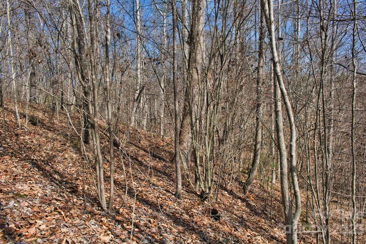 Lot at 0 Woodstock Lane, Rutherfordton, photo 5 of 5