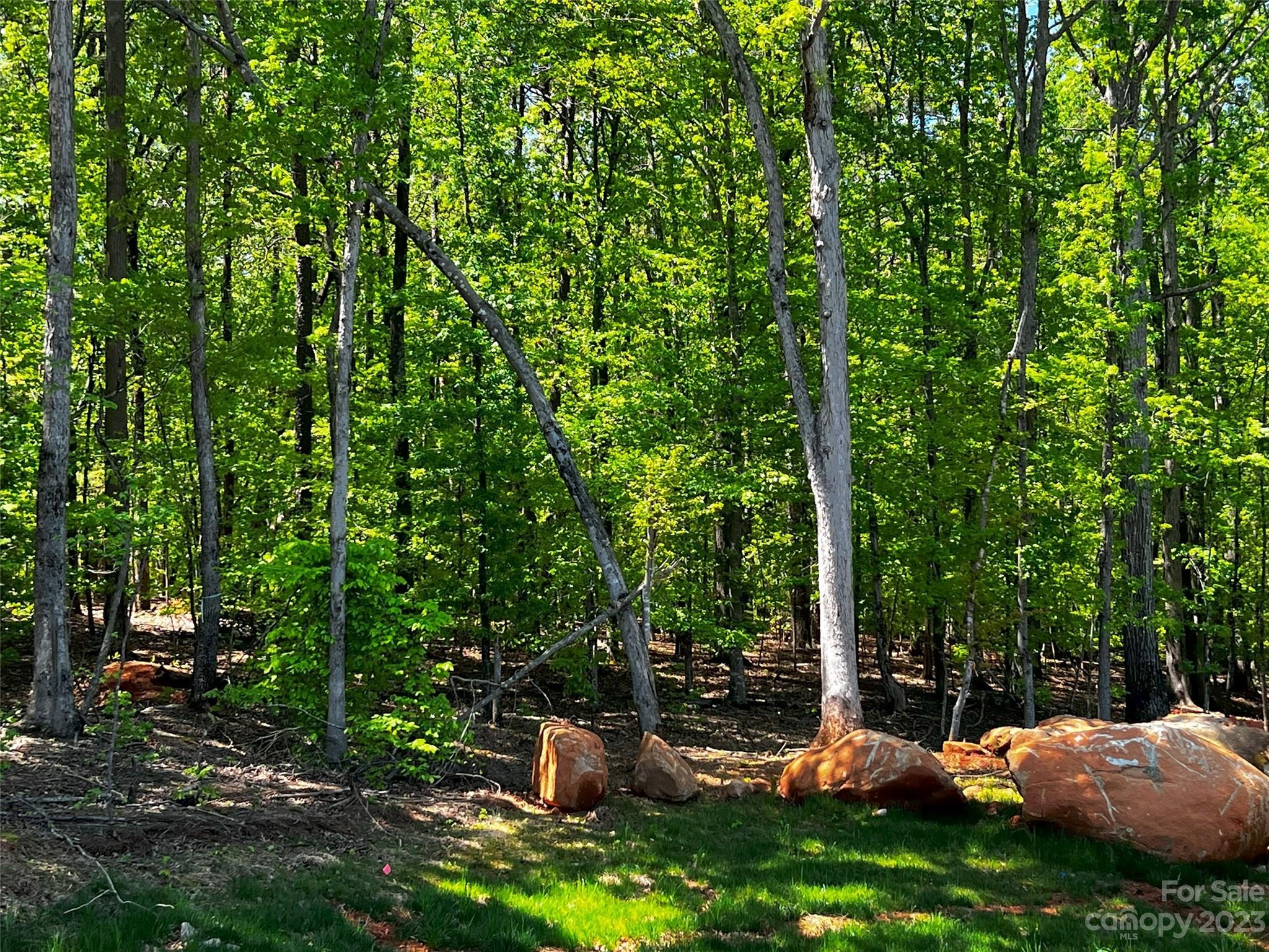 Lot at 130 Copper Pine Lane, Davidson