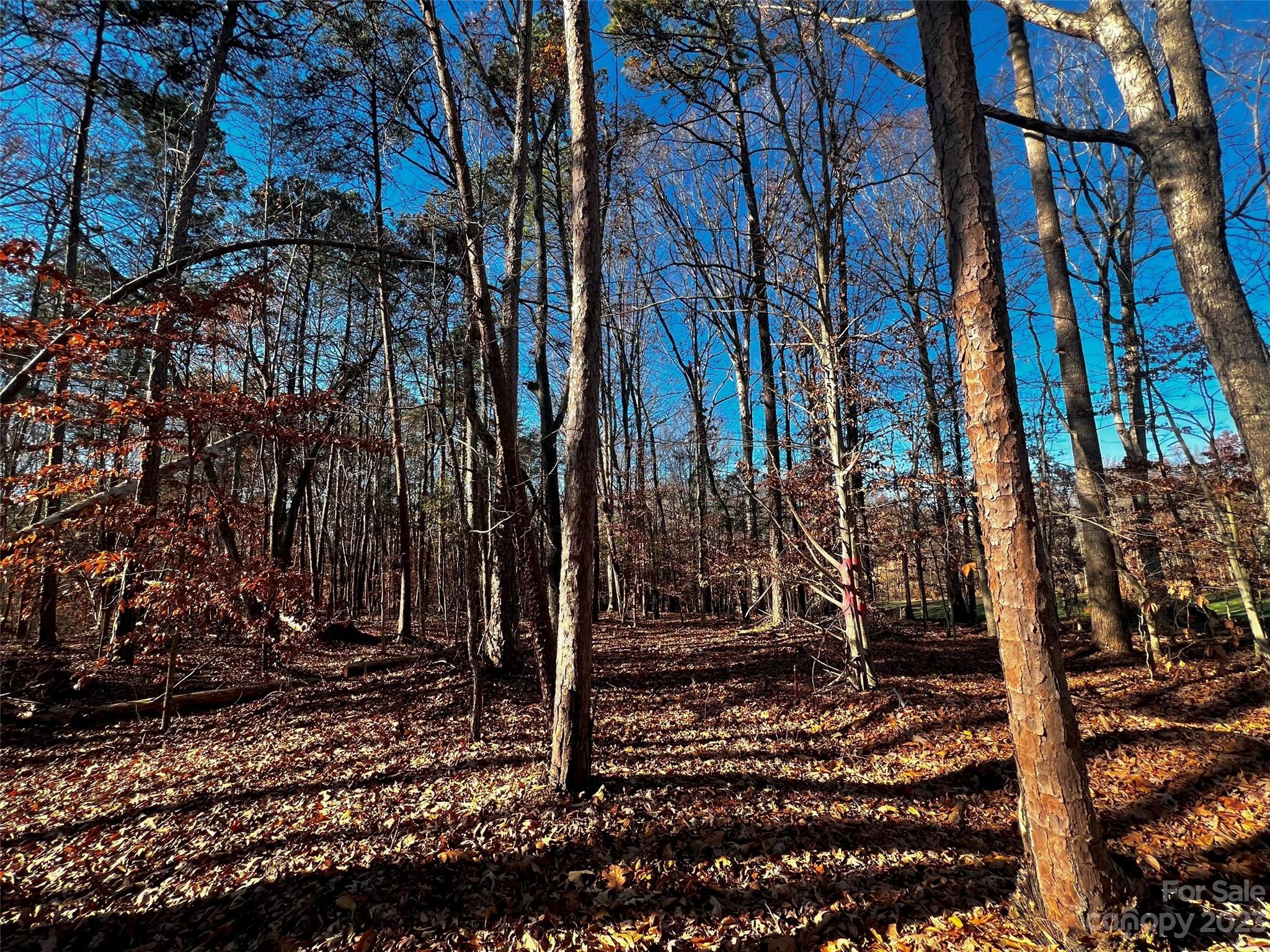 Lot at 130 Copper Pine Lane, Davidson, photo 2 of 19