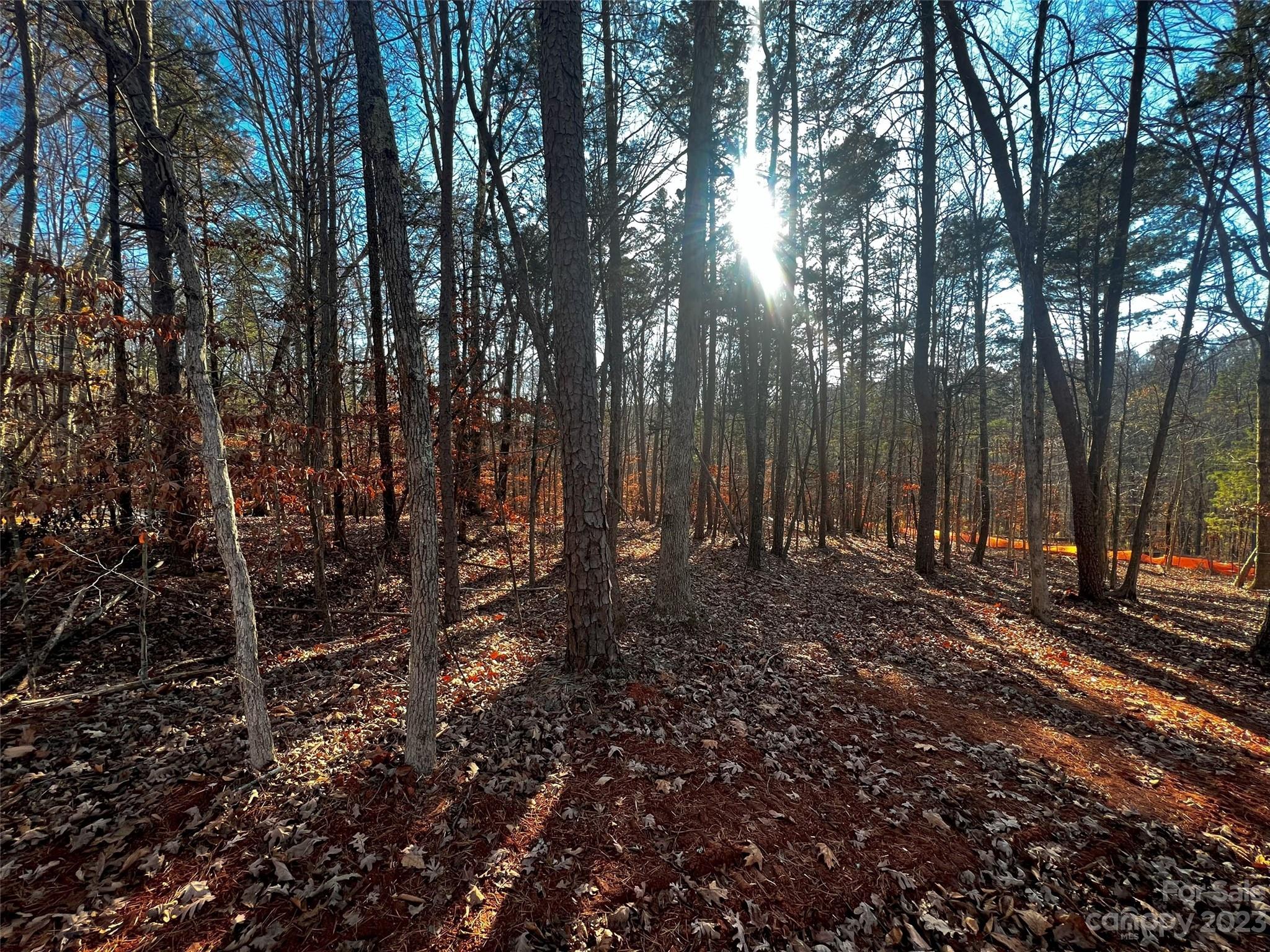 Lot at 157 Copper Pine Lane, Davidson, photo 2 of 20
