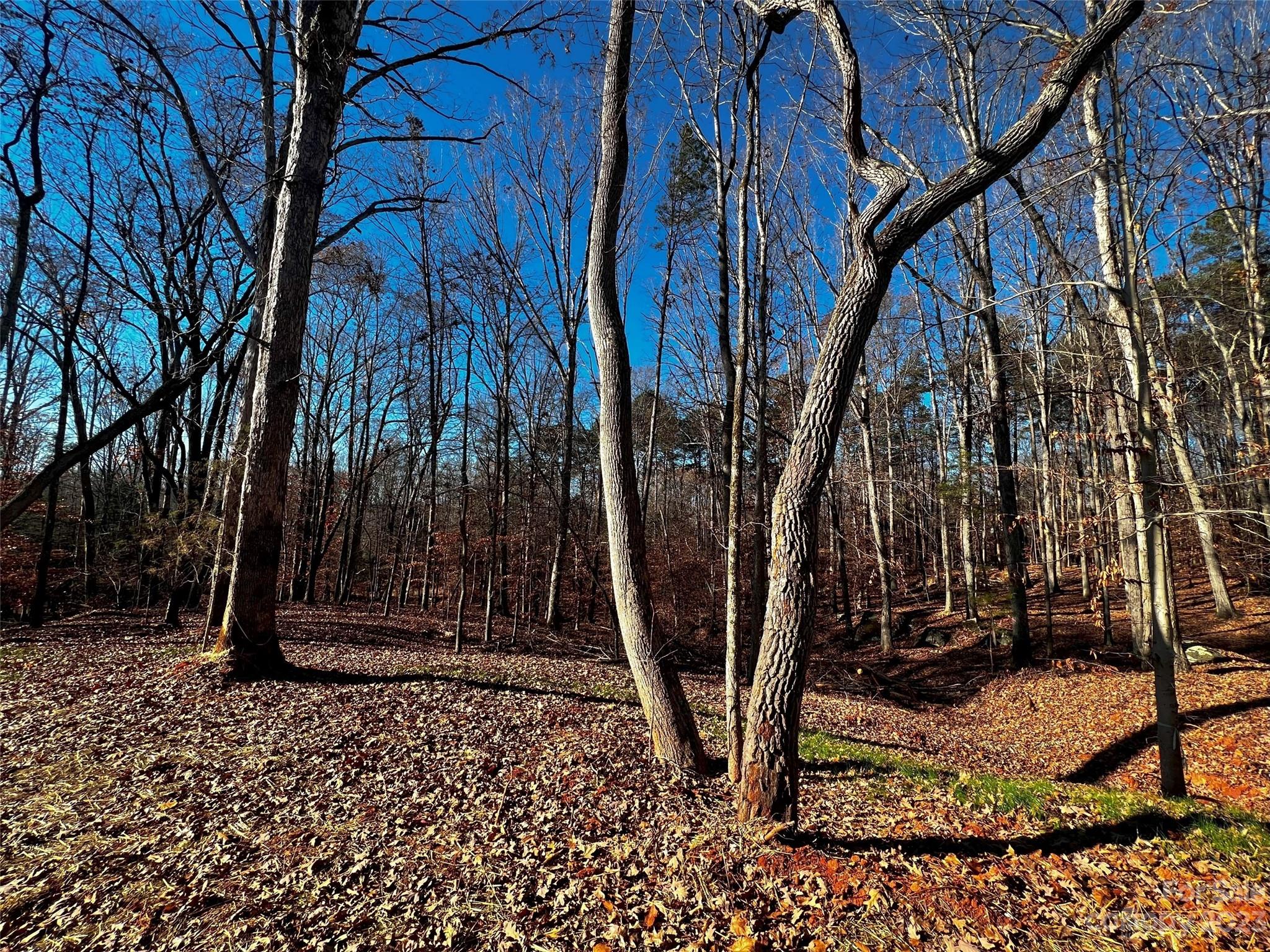 Lot at 146 Copper Pine Lane, Davidson, photo 2 of 22