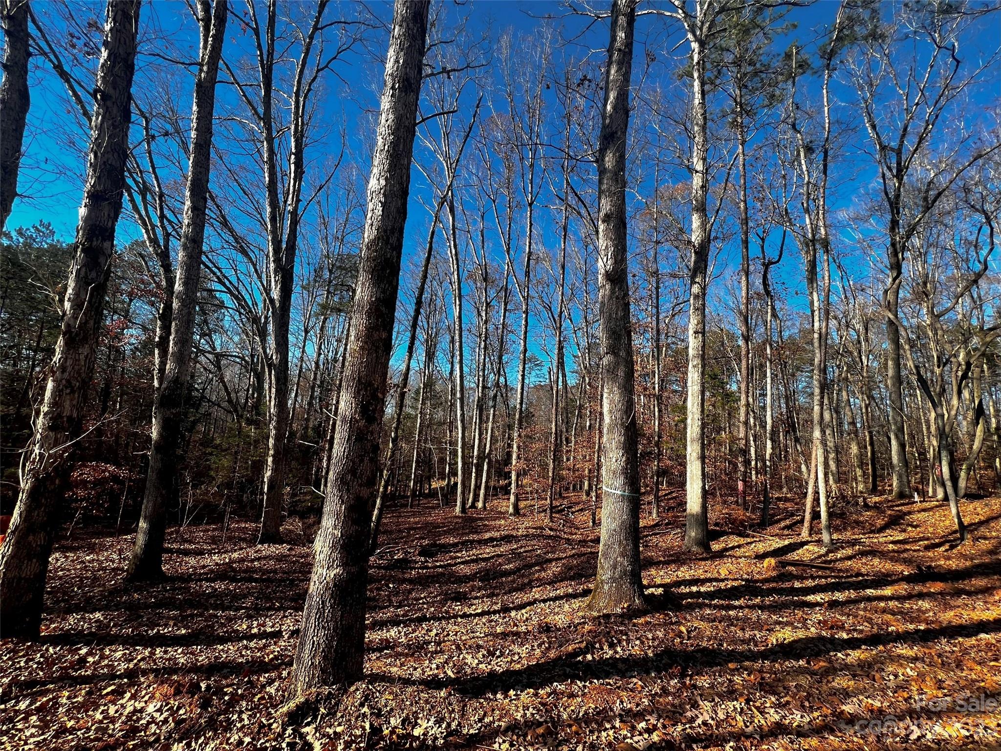 150 Copper Pine Lane