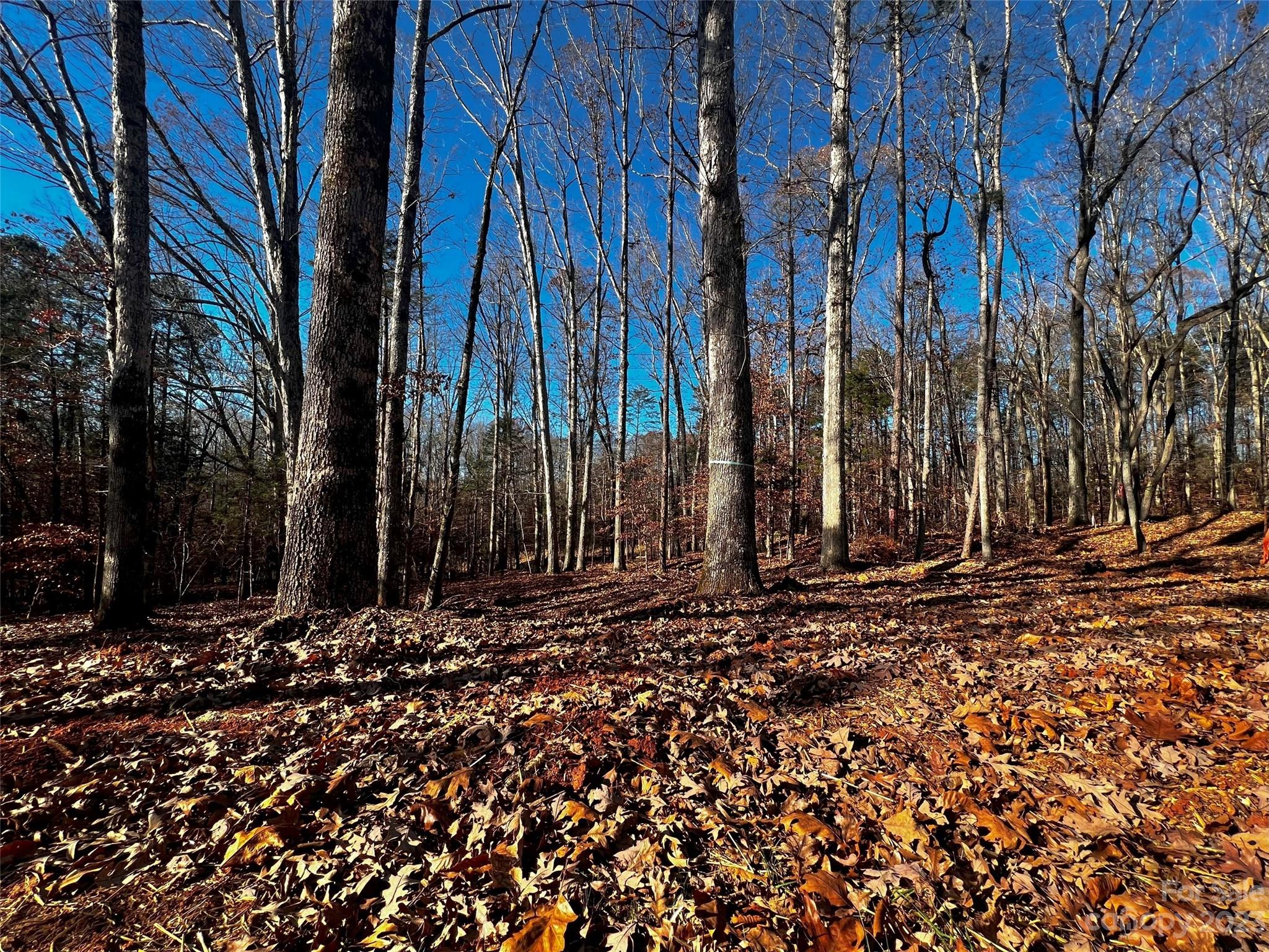 Lot at 150 Copper Pine Lane, Davidson, photo 2 of 21