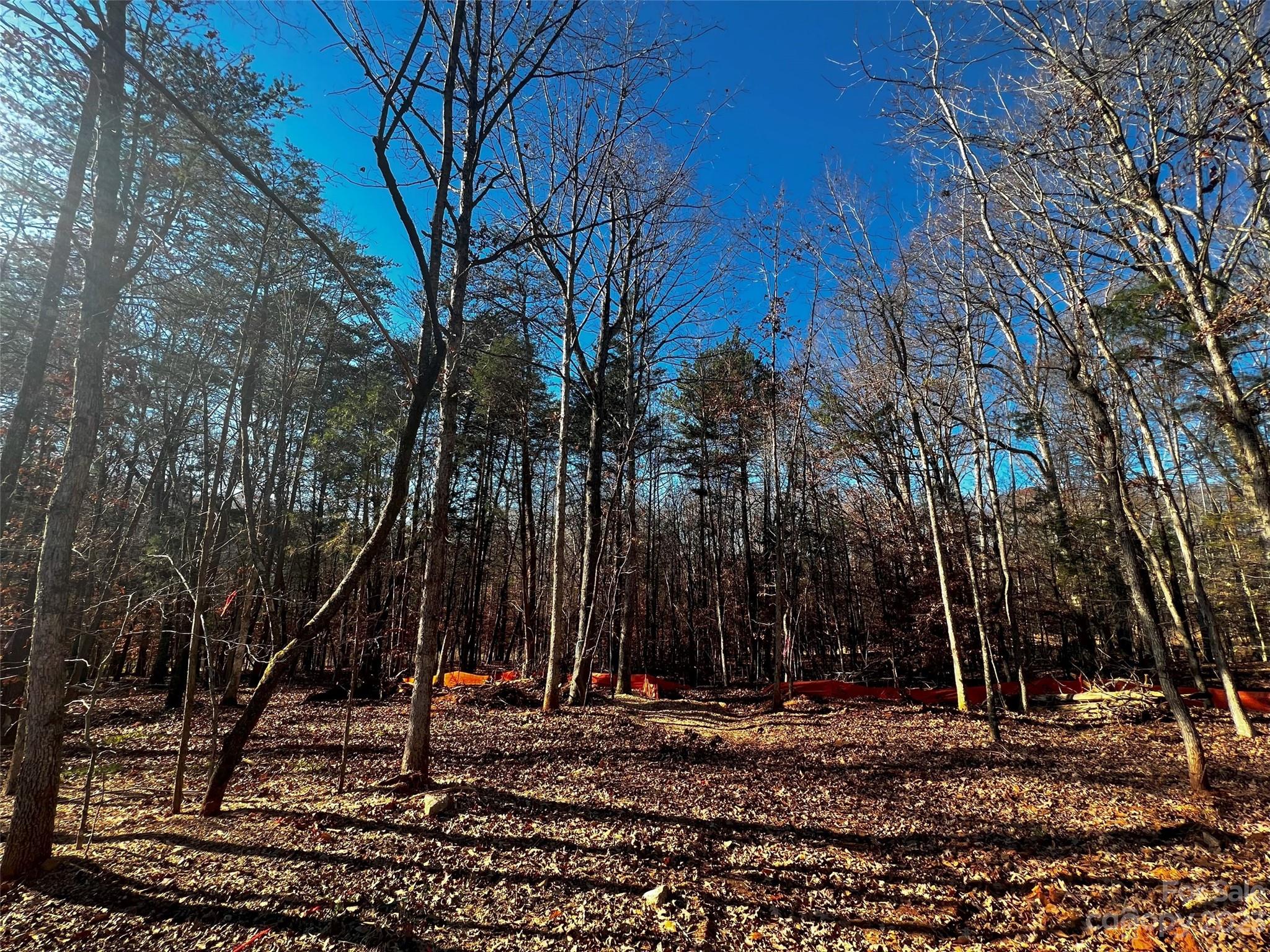 Lot at 156 Copper Pine Lane, Davidson, photo 2 of 21
