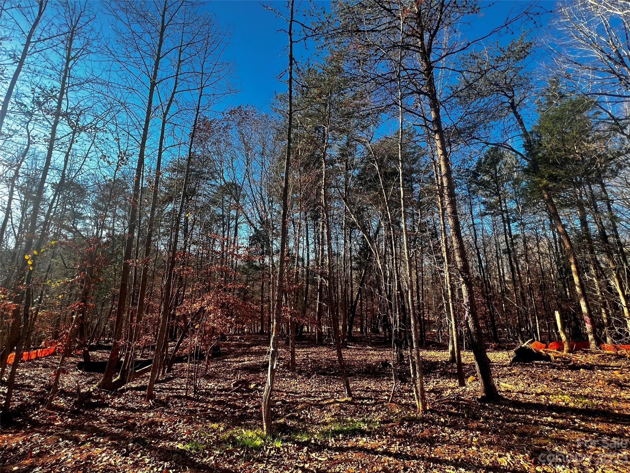 Lot at 156 Copper Pine Lane, Davidson, photo 3 of 21