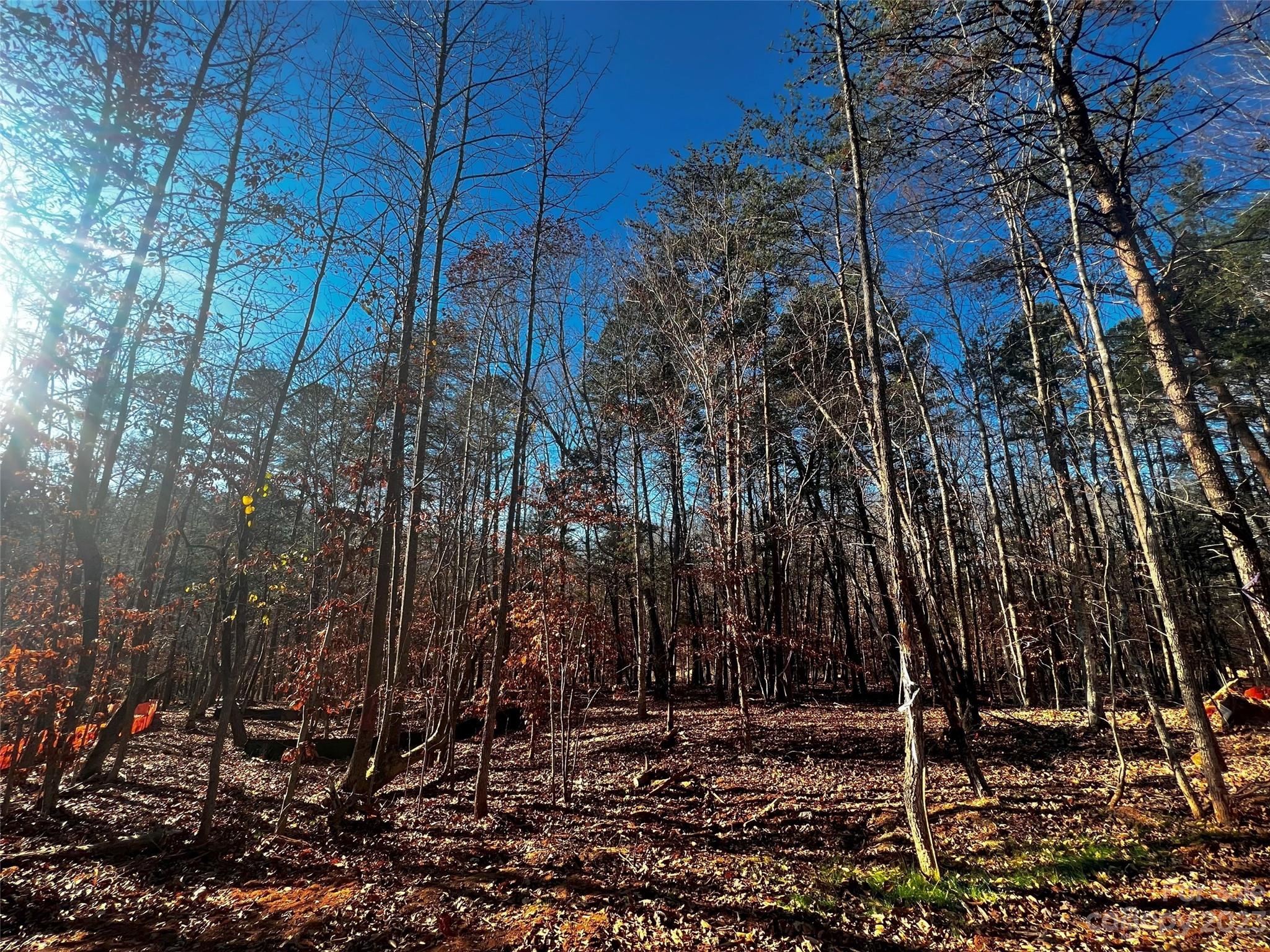 Lot at 156 Copper Pine Lane, Davidson, photo 5 of 21