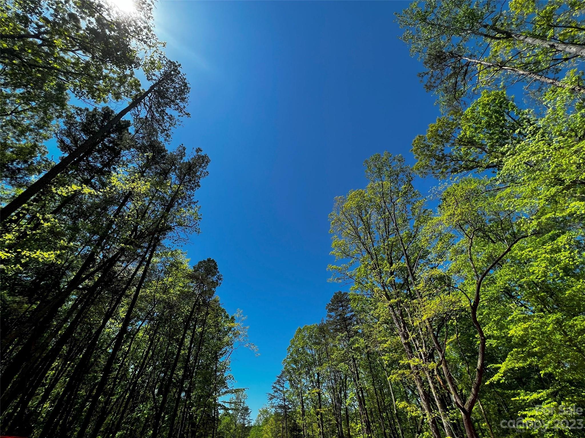 Lot at 156 Copper Pine Lane, Davidson, photo 11 of 21