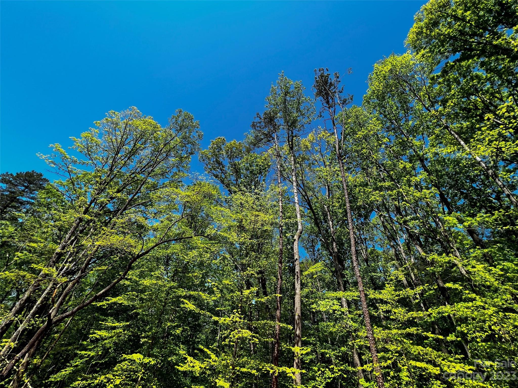 Lot at 156 Copper Pine Lane, Davidson, photo 16 of 21