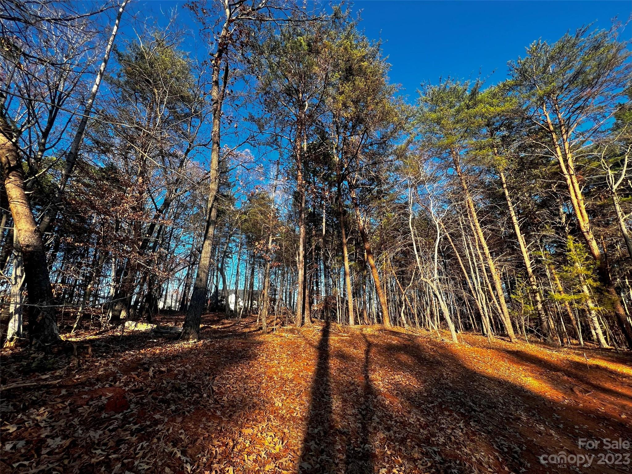 127 Hunt Camp Trail