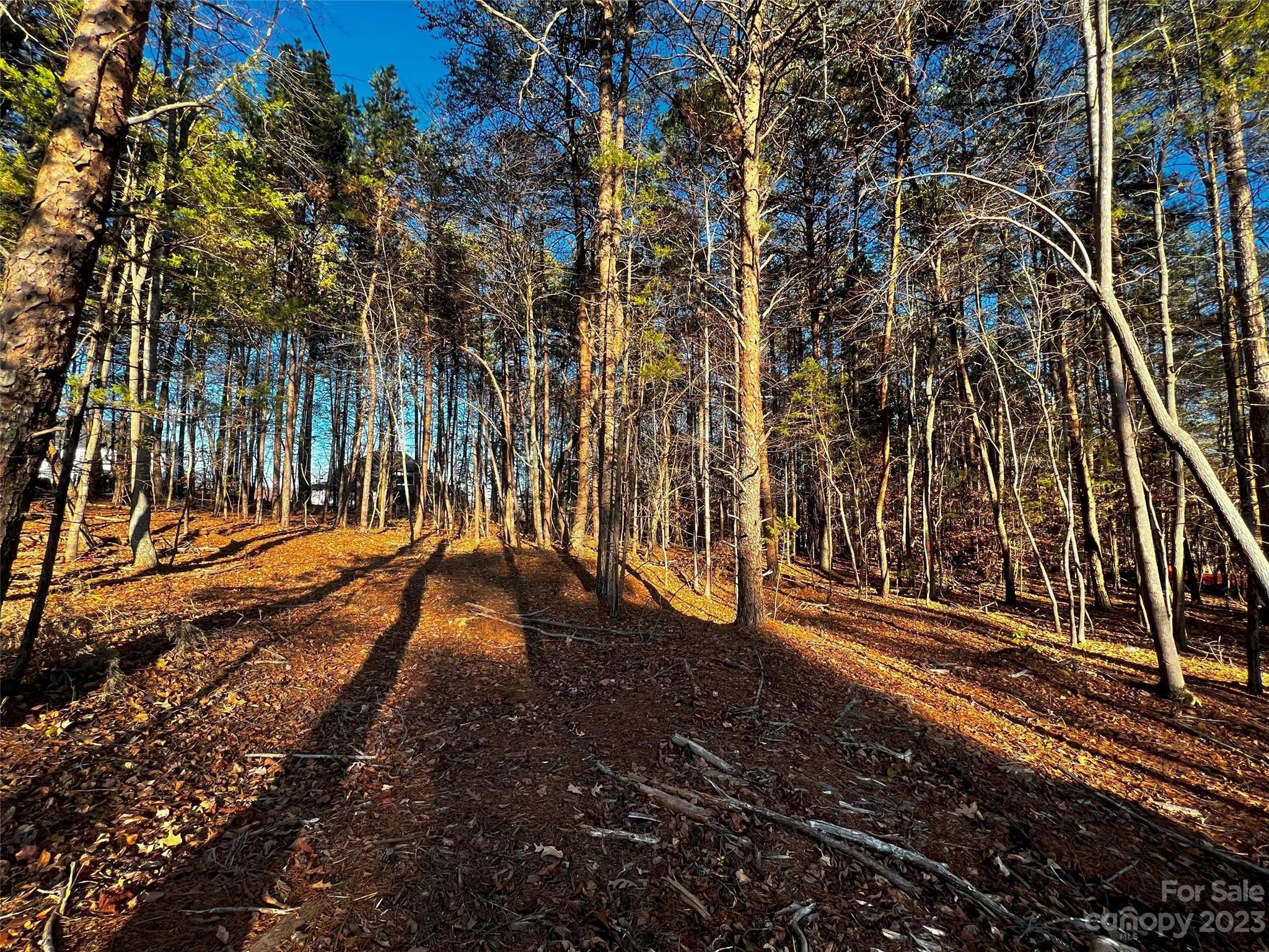 Lot at 127 Hunt Camp Trail, Davidson, photo 2 of 21