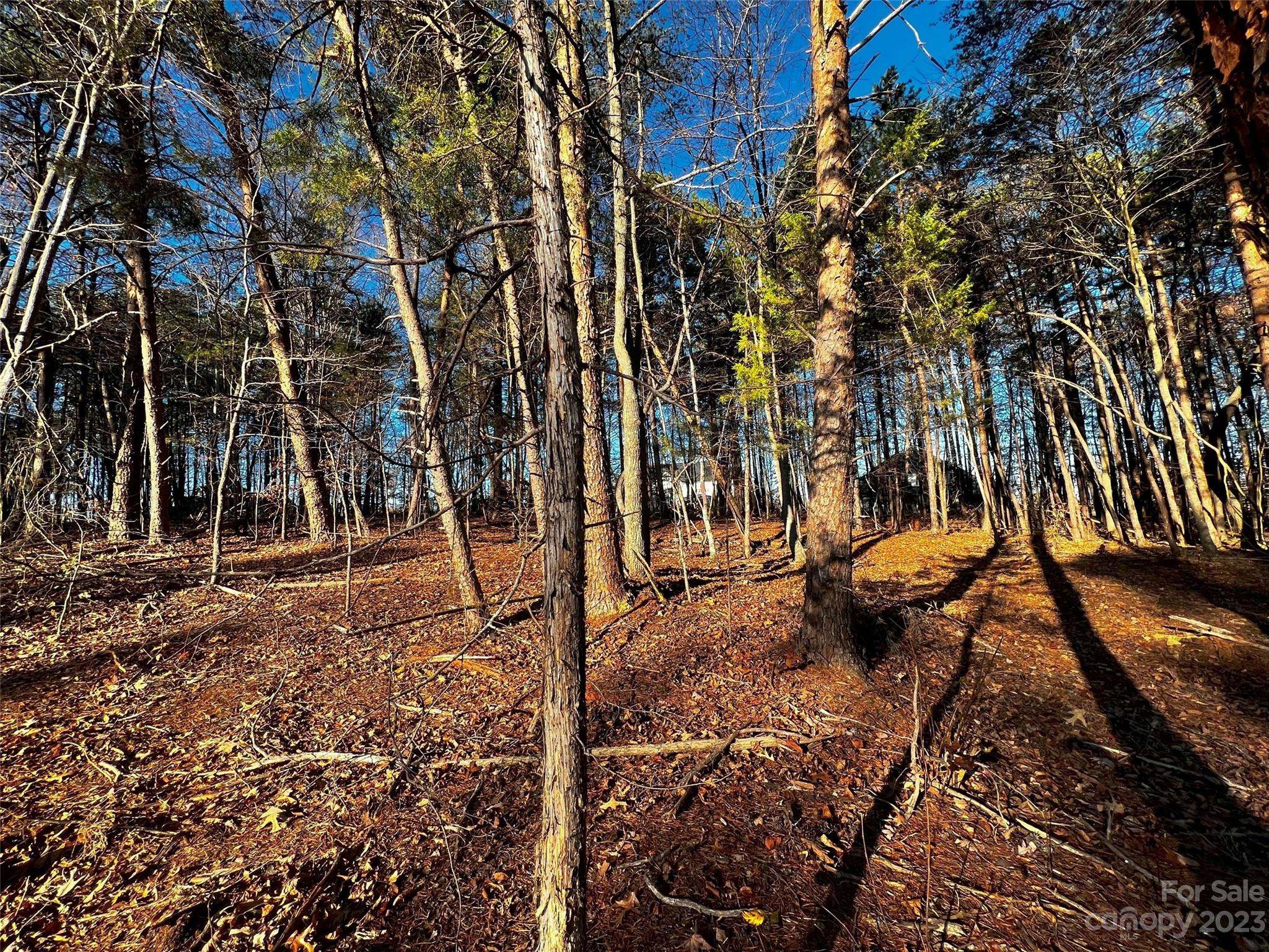 Lot at 127 Hunt Camp Trail, Davidson, photo 4 of 21