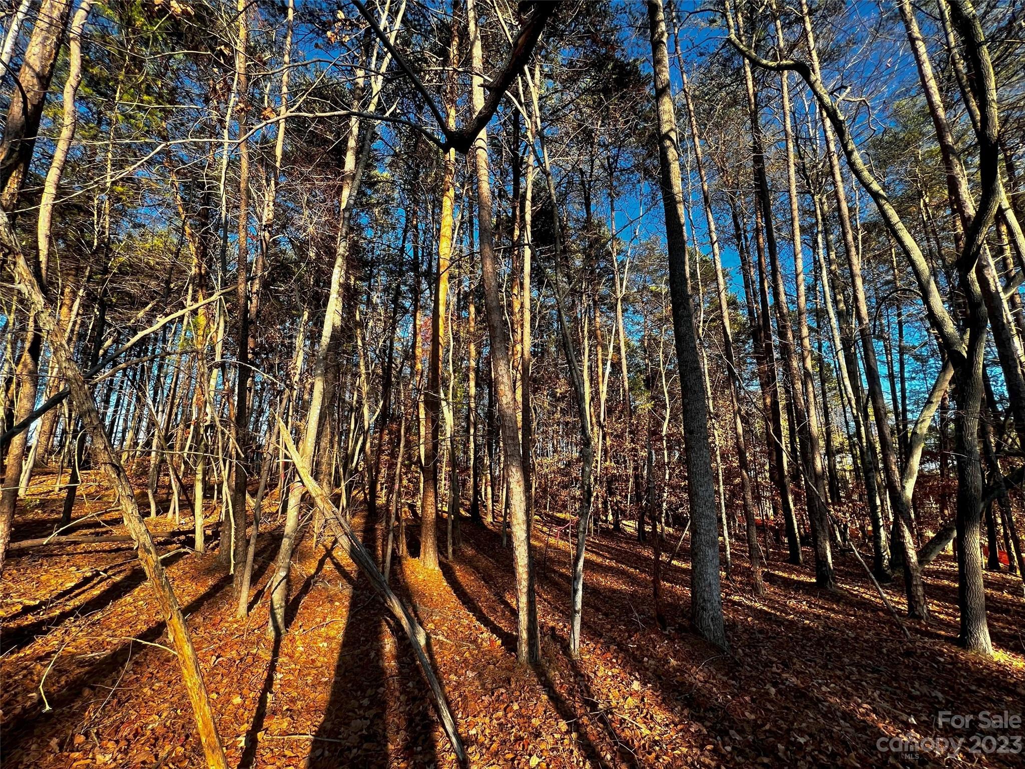 Lot at 127 Hunt Camp Trail, Davidson, photo 5 of 21