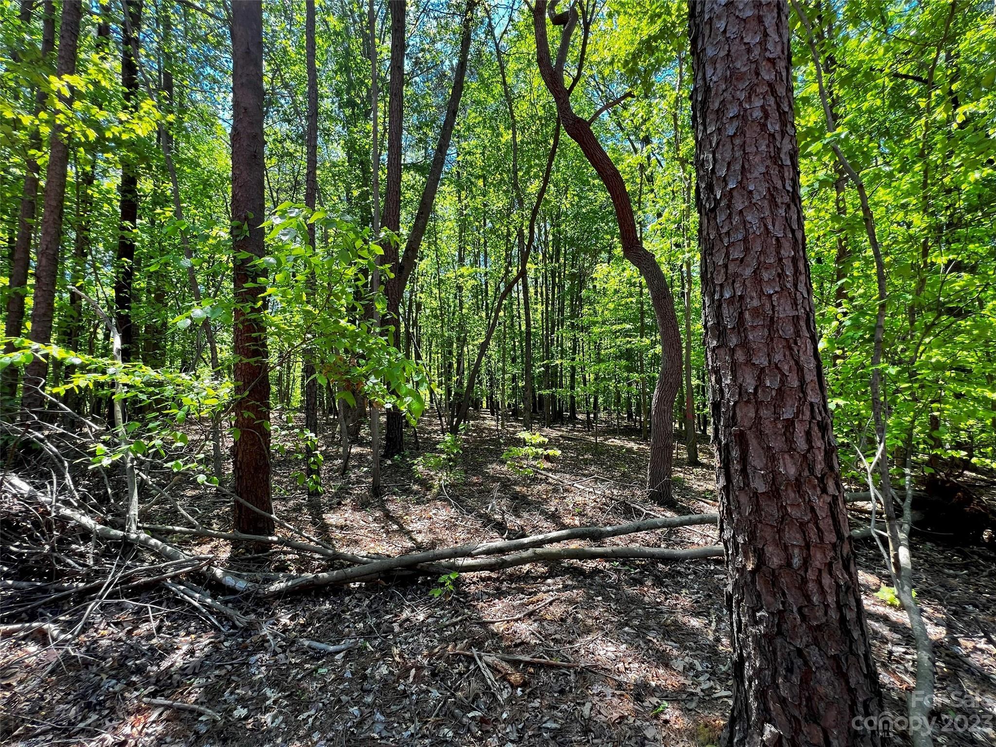 Lot at 127 Hunt Camp Trail, Davidson, photo 14 of 21