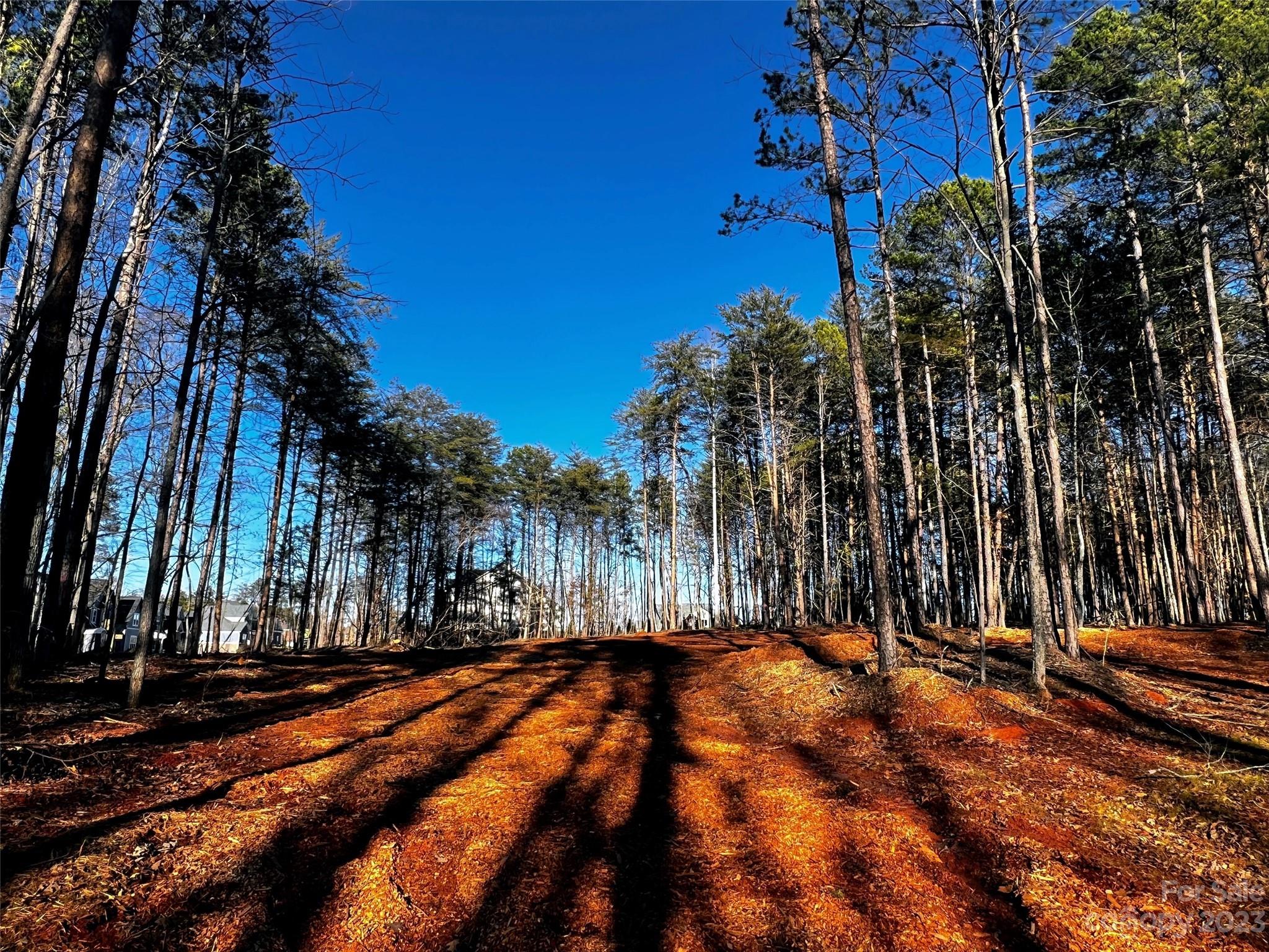 109 Hunt Camp Trail