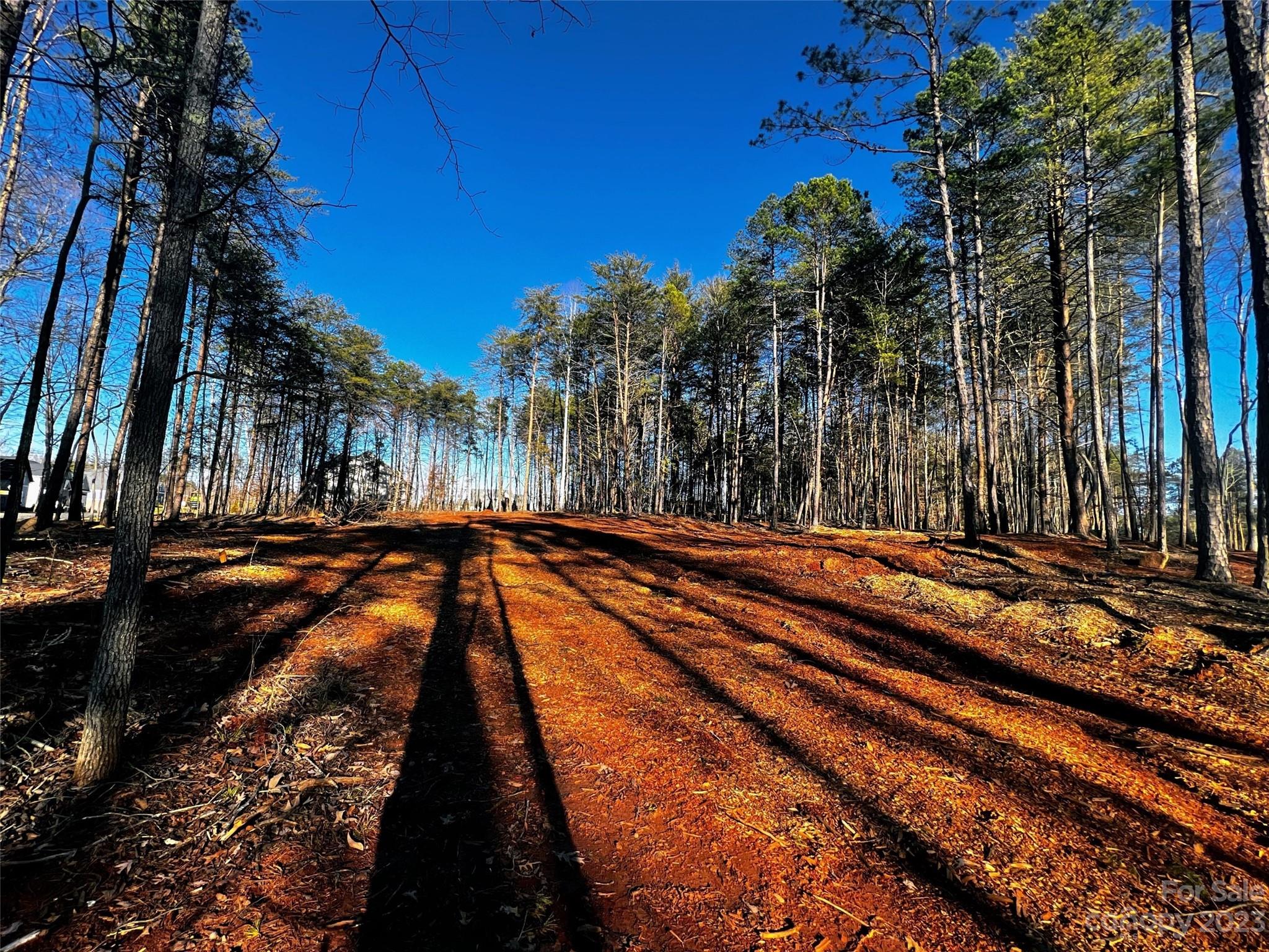 Lot at 109 Hunt Camp Trail, Davidson, photo 2 of 19
