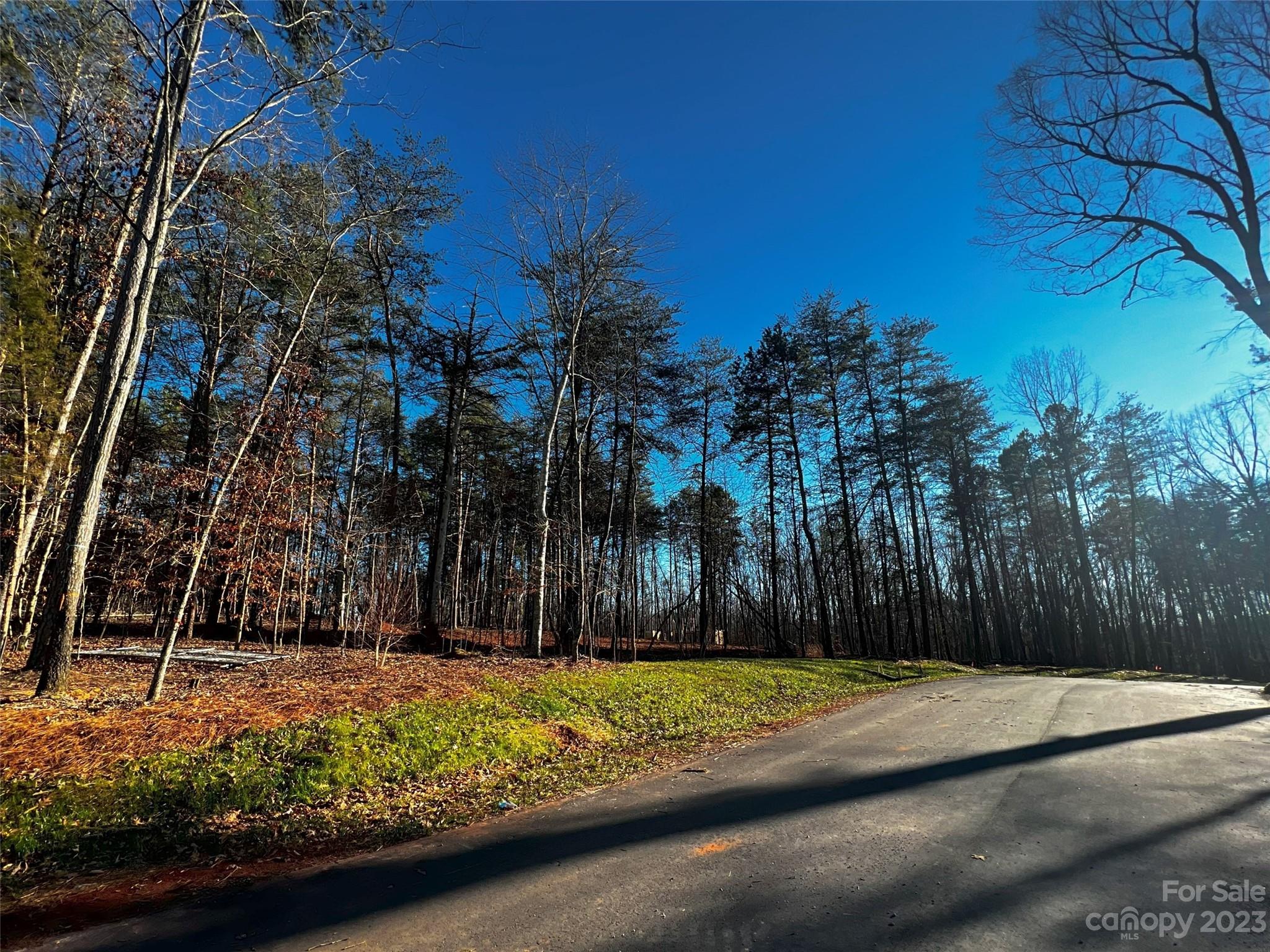 Lot at 109 Hunt Camp Trail, Davidson, photo 3 of 19