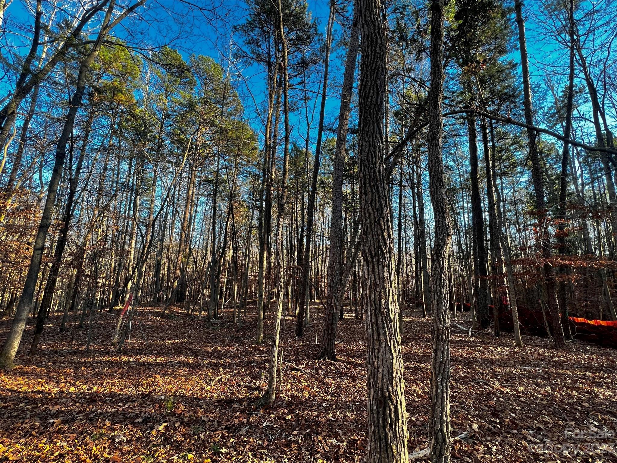Lot at 126 Hunt Camp Trail, Davidson, photo 2 of 21