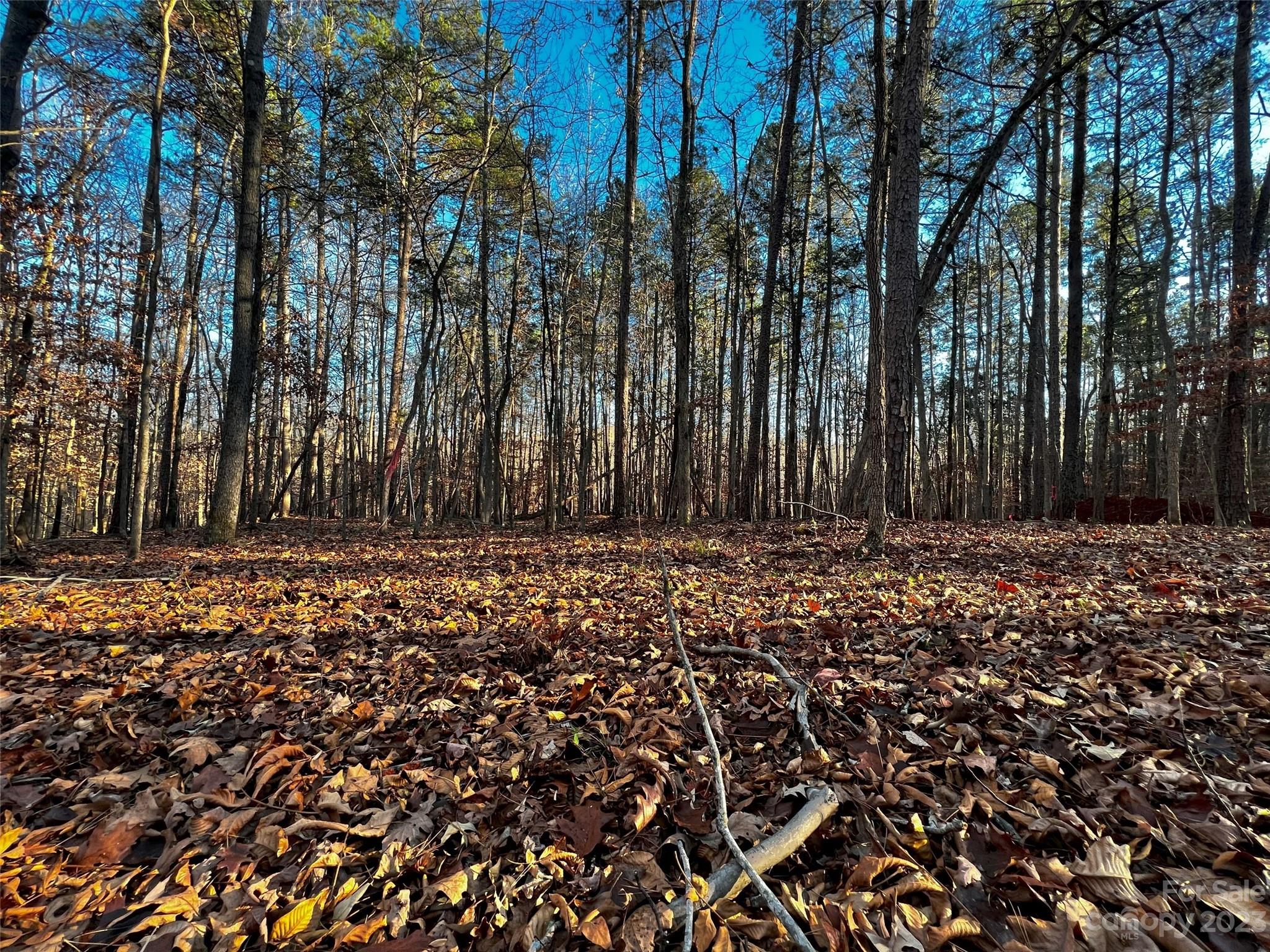 Lot at 126 Hunt Camp Trail, Davidson, photo 3 of 21