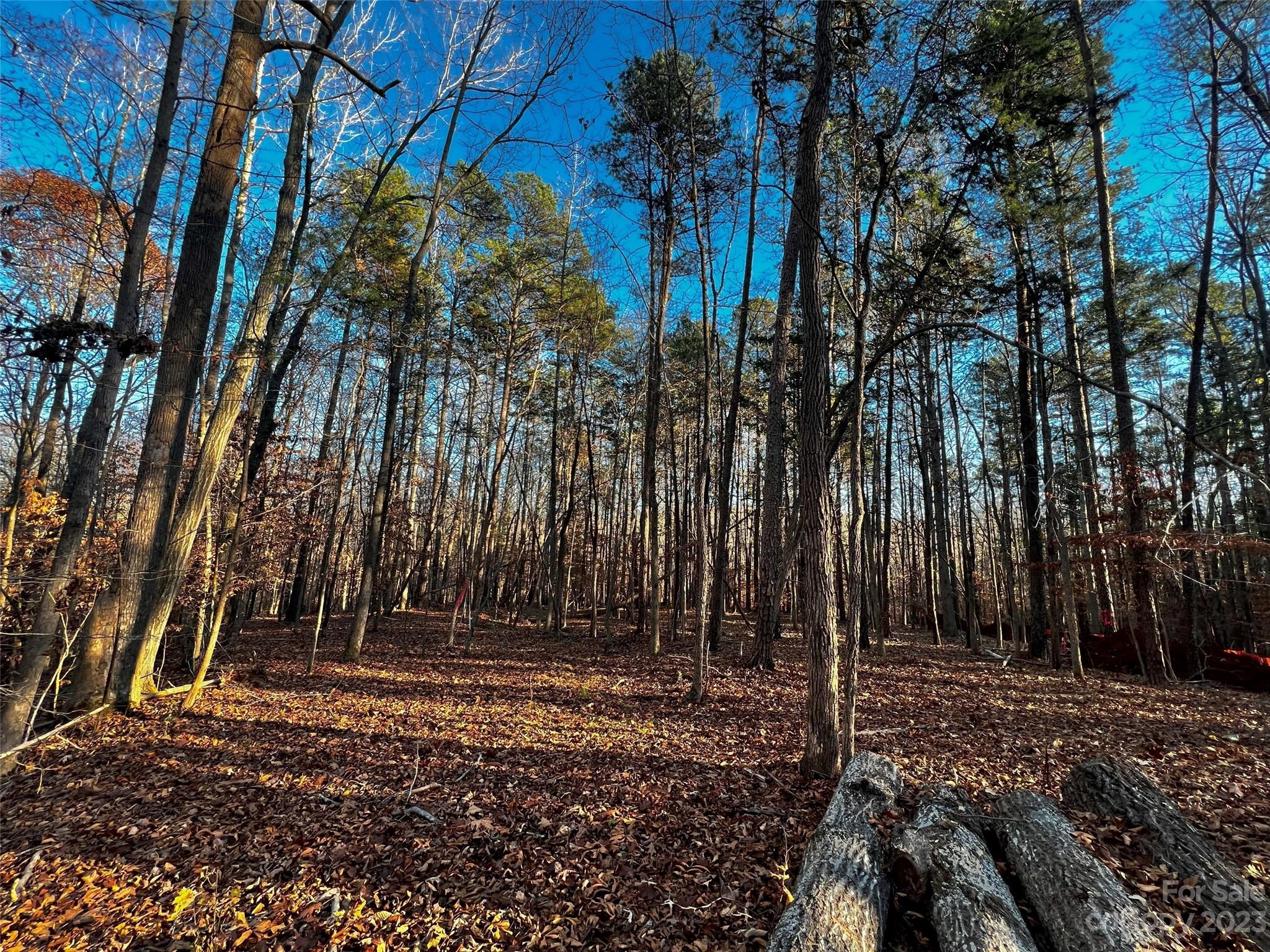 Lot at 126 Hunt Camp Trail, Davidson, photo 5 of 21