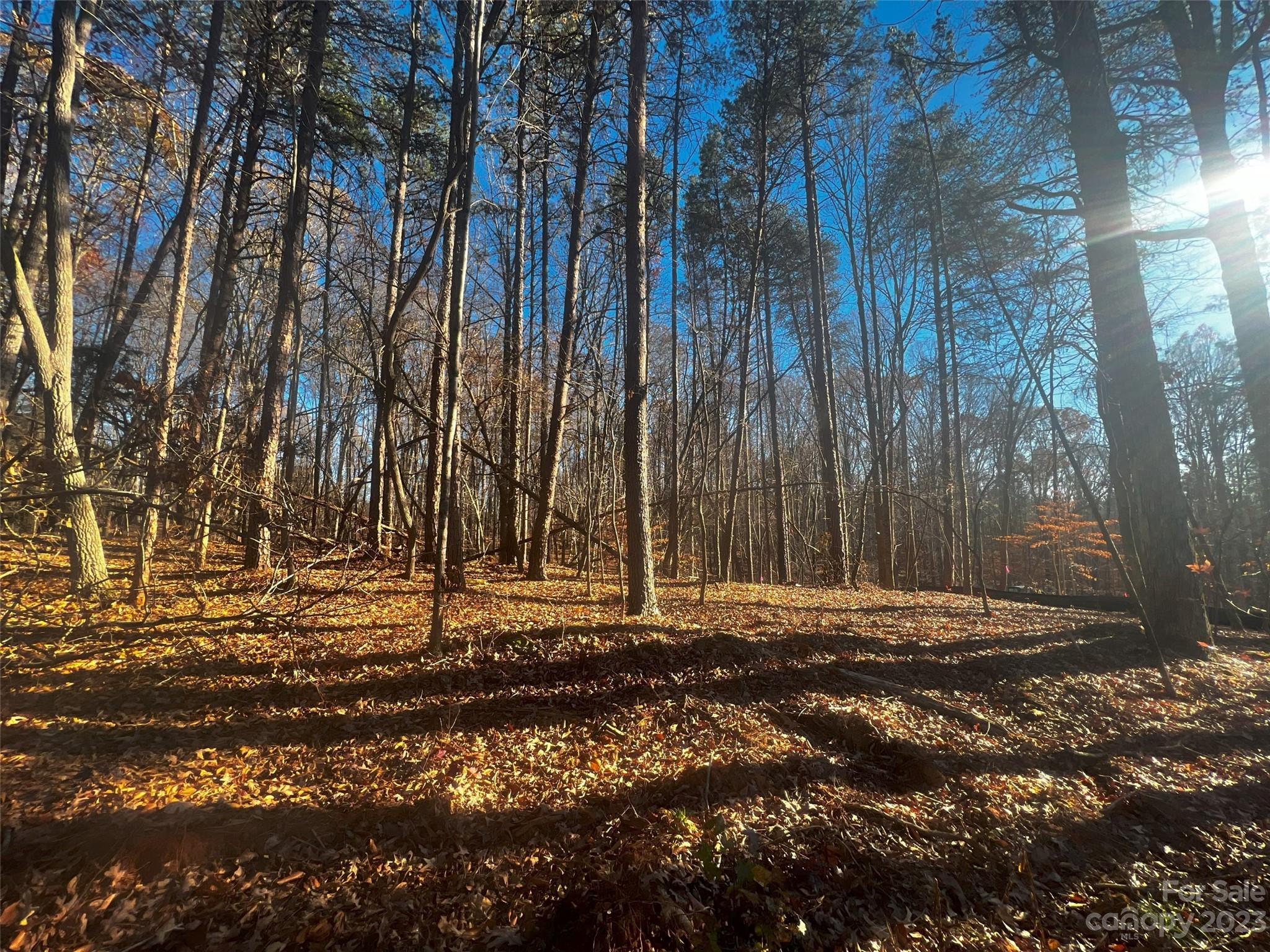 Lot at 147 Copper Pine Lane, Davidson, photo 2 of 22