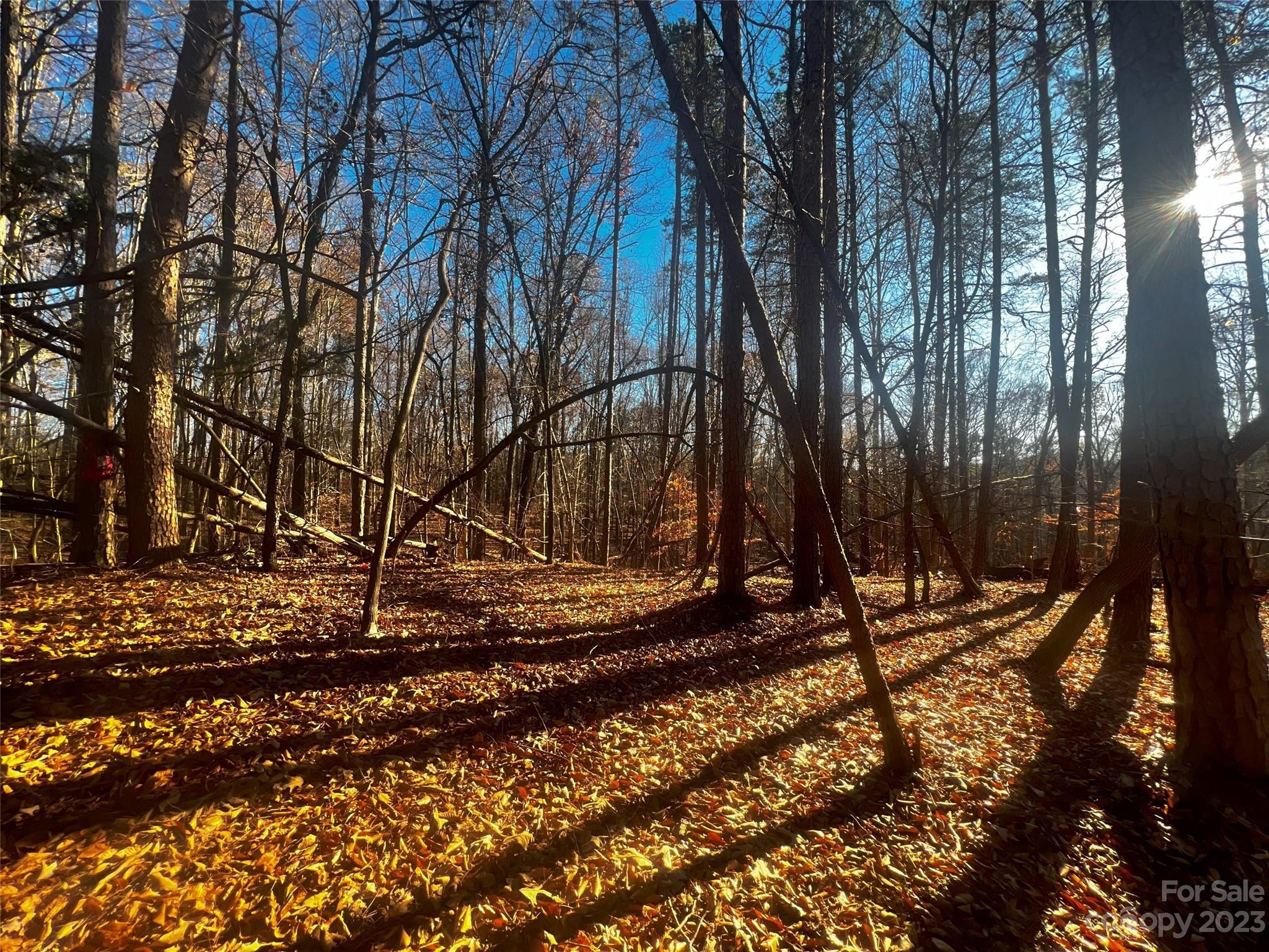 Lot at 147 Copper Pine Lane, Davidson, photo 3 of 22