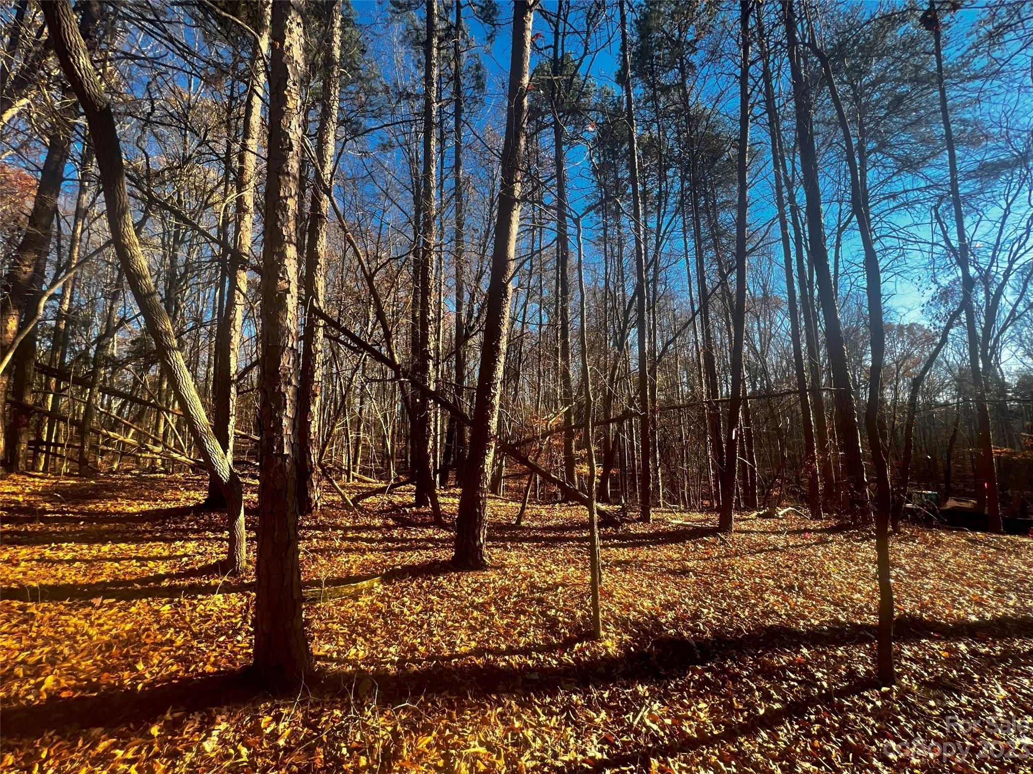 Lot at 147 Copper Pine Lane, Davidson, photo 4 of 22