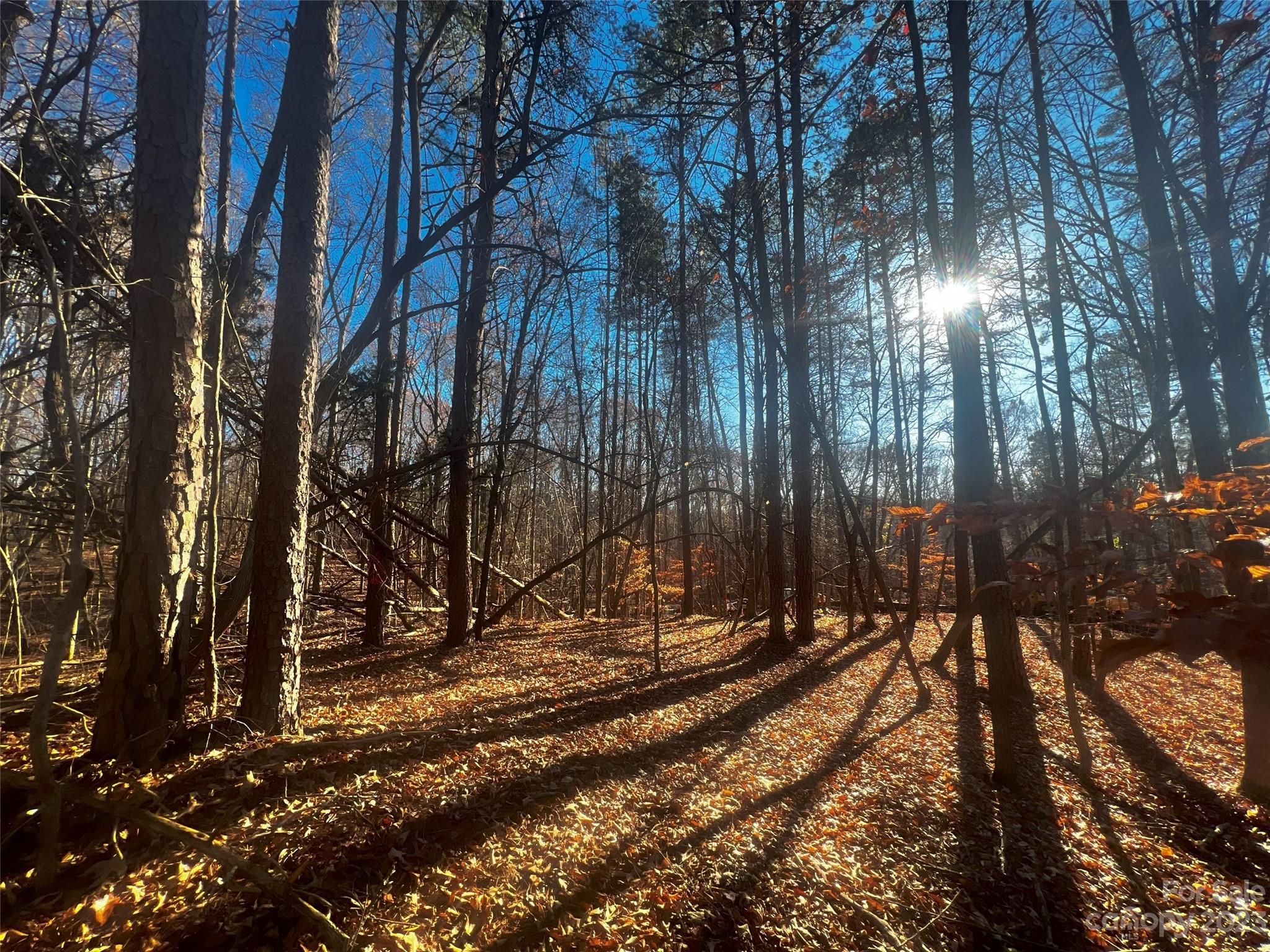 Lot at 147 Copper Pine Lane, Davidson, photo 6 of 22