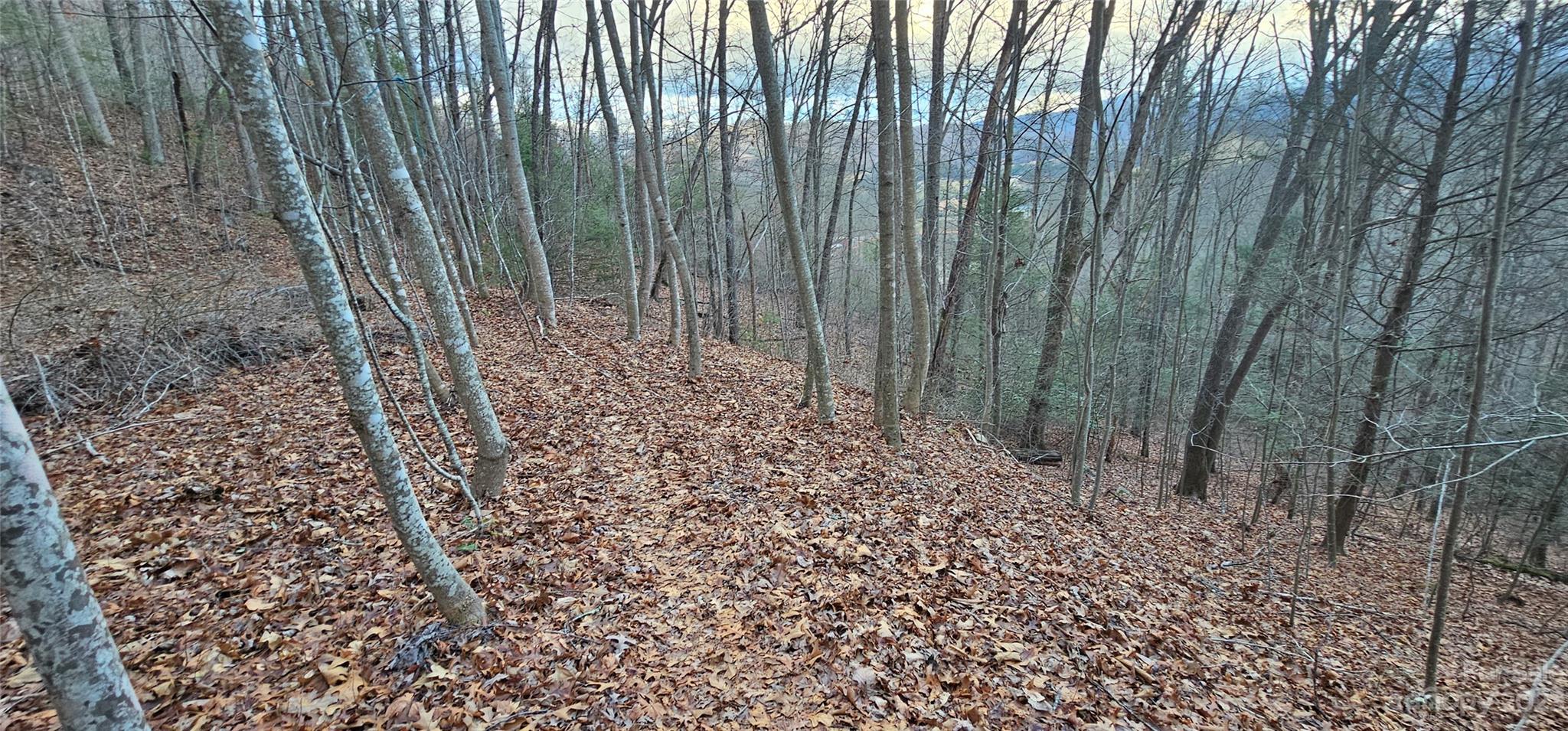 Lot at Lot 10 Seay Mountain Road, Waynesville, photo 2 of 38