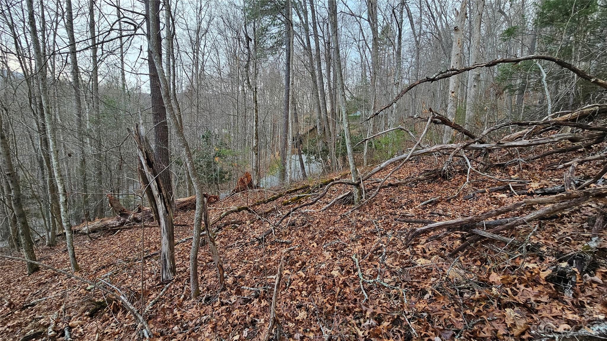 Lot at Lot 13 Seay Mountain Road, Waynesville, photo 2 of 35