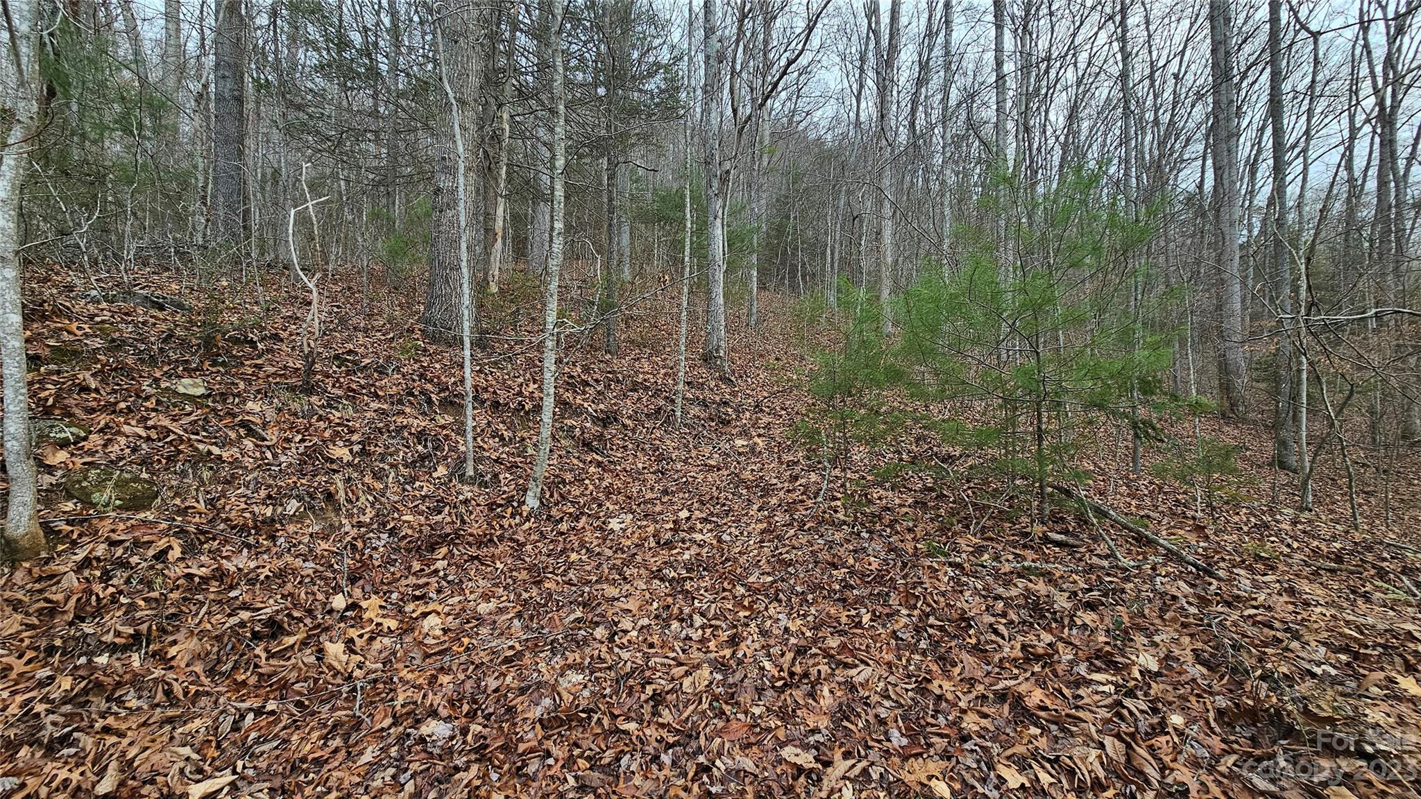 Lot at Lot 14 Seay Mountain Road, Waynesville, photo 2 of 29