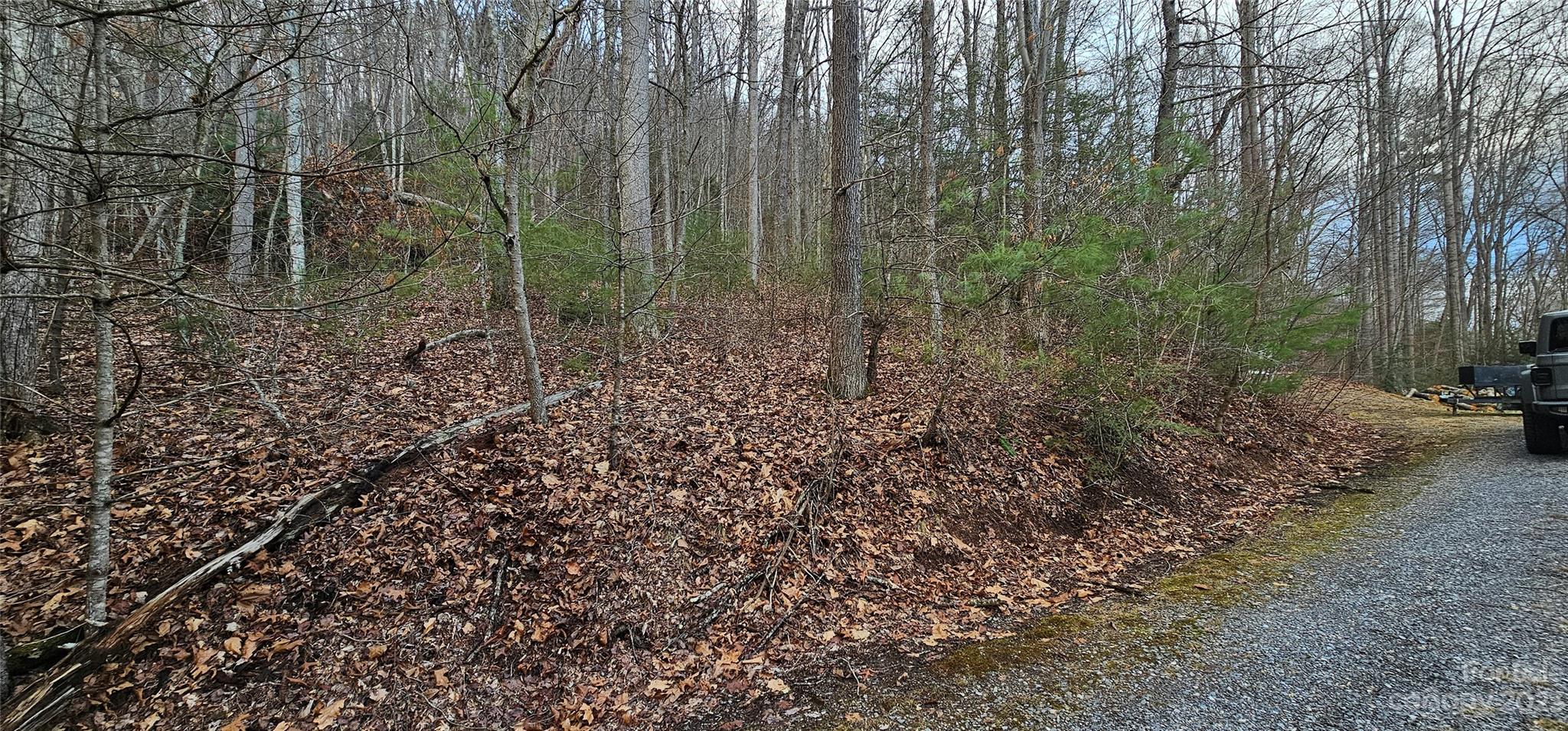 Lot at 4 Lots Seay Mountain Road, Waynesville, photo 2 of 48