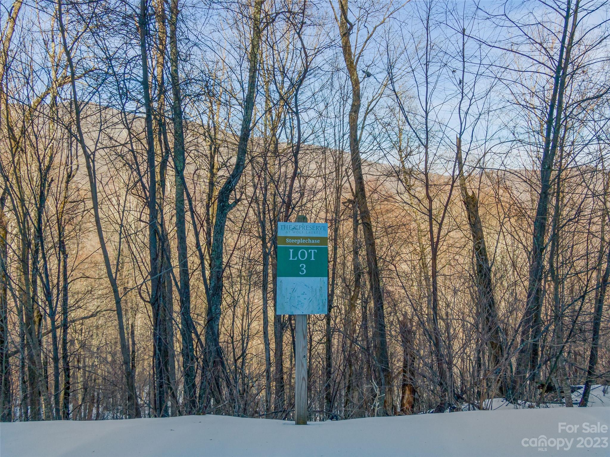 Lot 3 Mountain Gait Drive