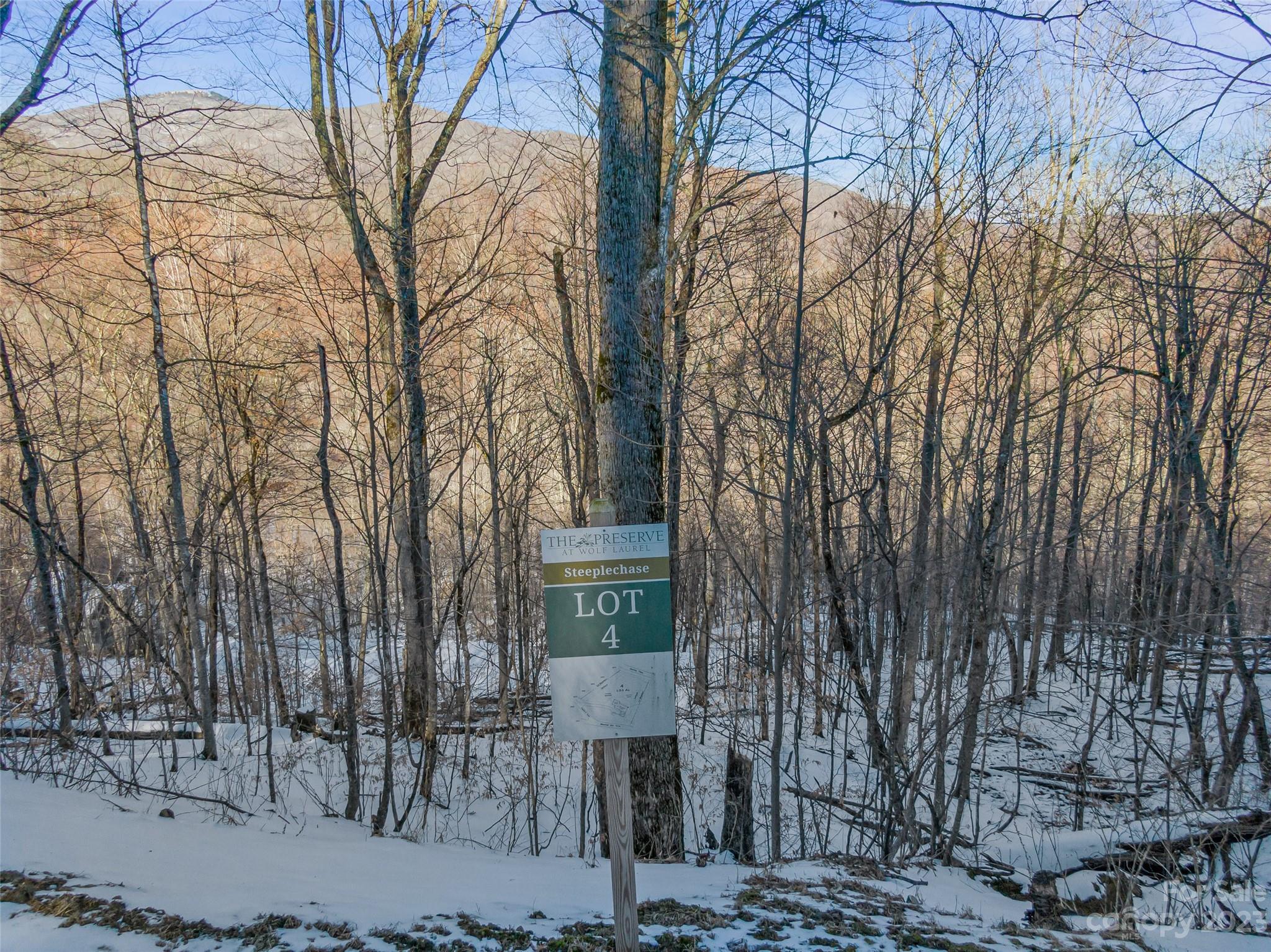 Lot 4 Mountain Gait Drive