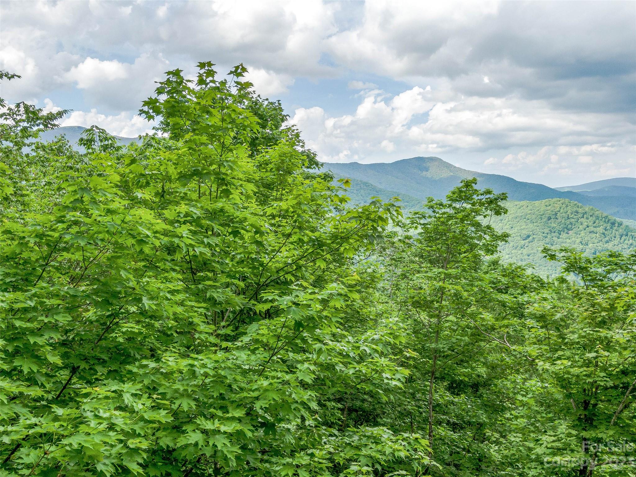 Lot at Lot 27 Black Bear Run, Mars Hill, photo 14 of 36
