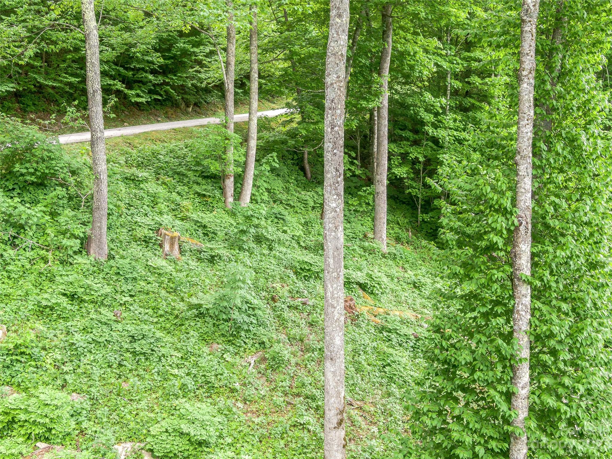 Lot at Lot 27 Black Bear Run, Mars Hill, photo 15 of 36